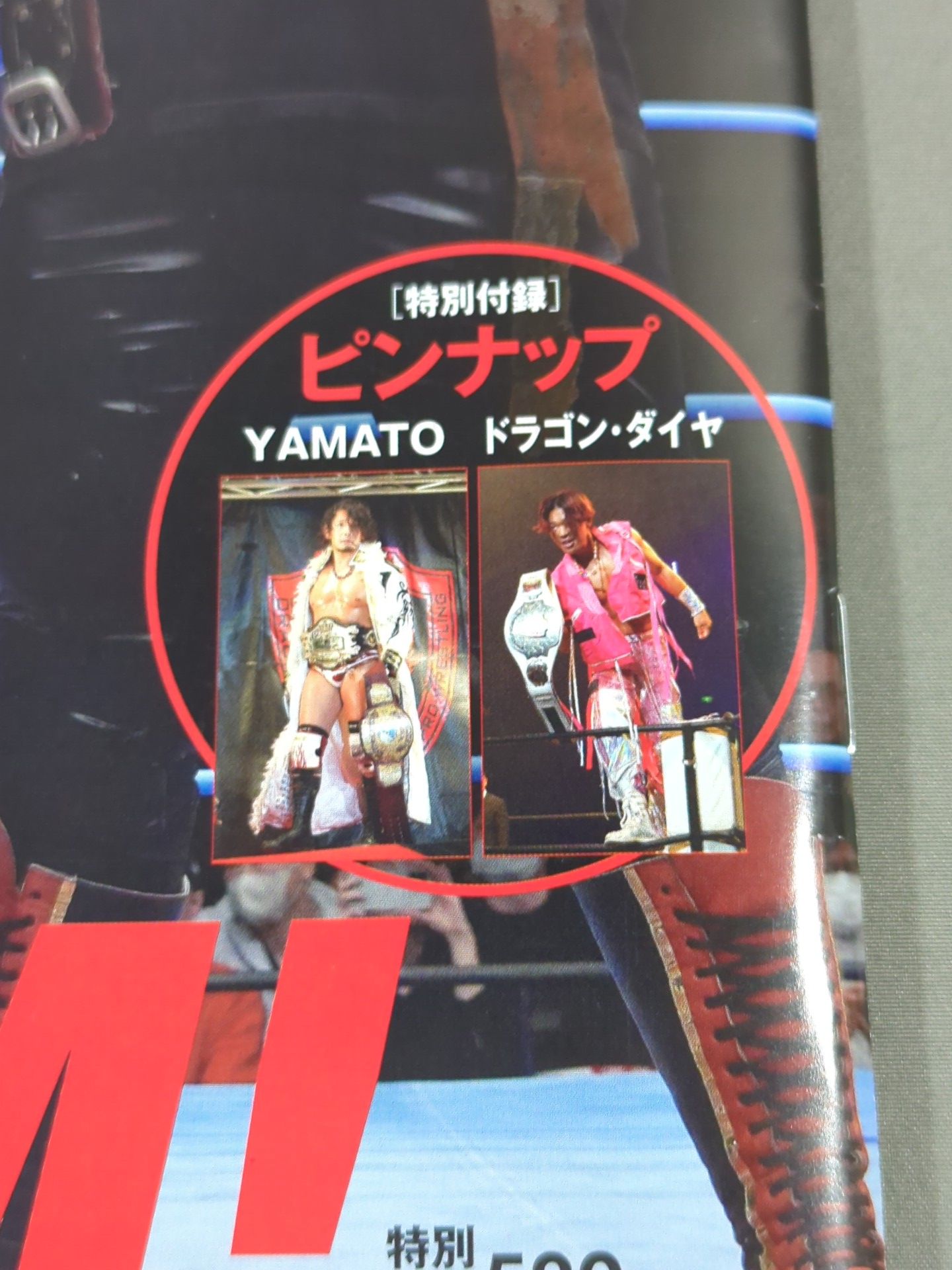 週刊プロレス2328