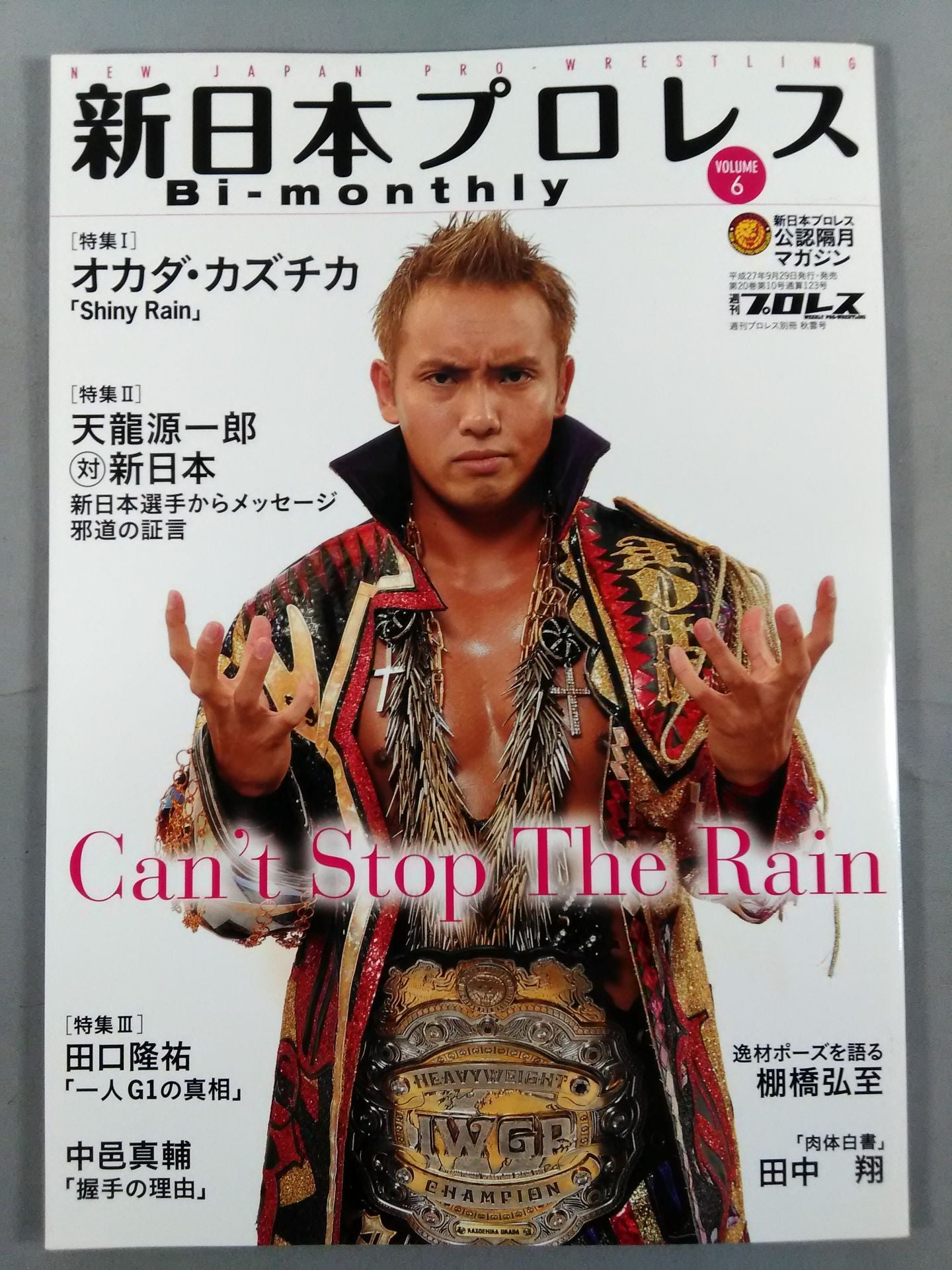 Weekly Pro Wrestling Appendix 123 New Japan Pro Wrestling Bi-monthly VOL.6