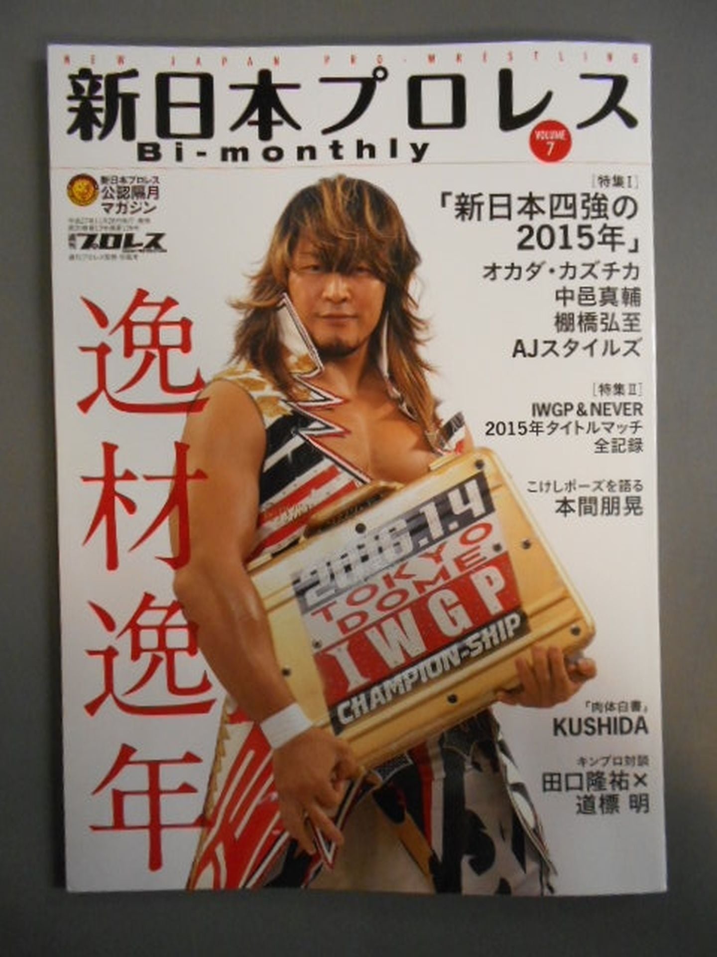 Weekly Pro Wrestling Appendix 126 New Japan Pro Wrestling Bi-monthly VOL.7