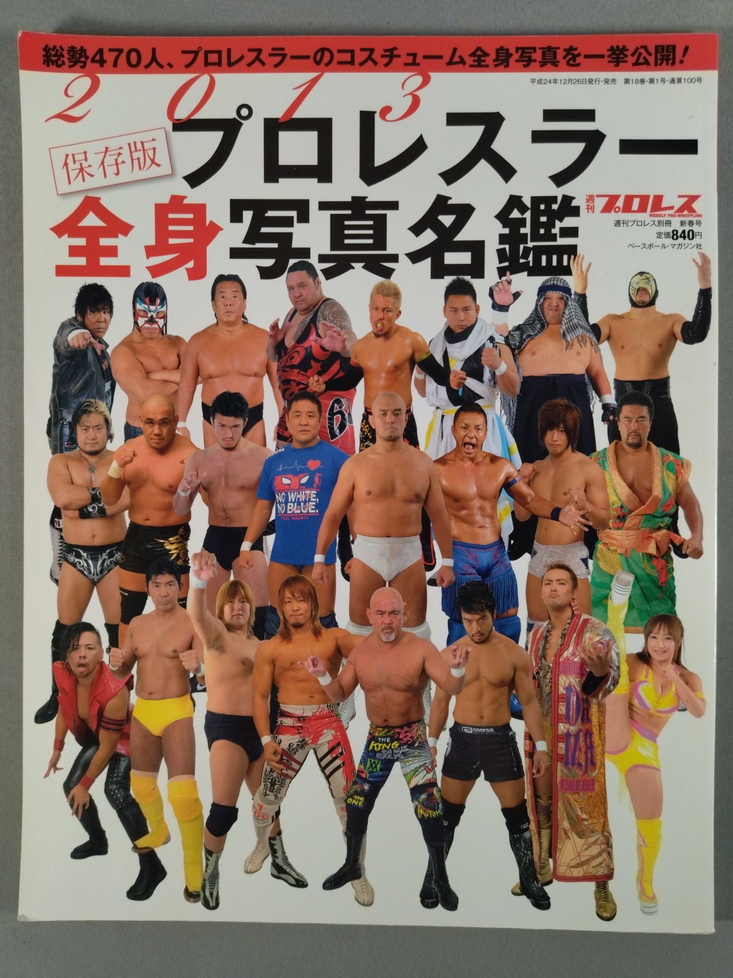 週刊プロレス別冊100「2013 保存版プロレスラー全身写真名鑑」