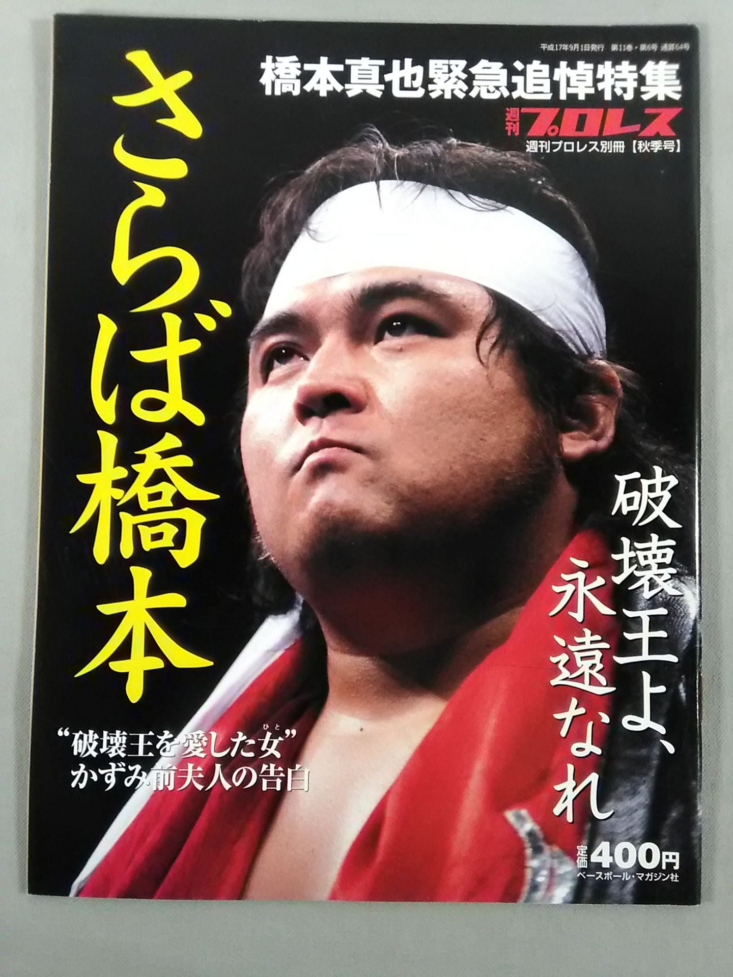 Weekly Pro Wrestling Annex 64 "Farewell Hashimoto, King of Destruction Be eternal."