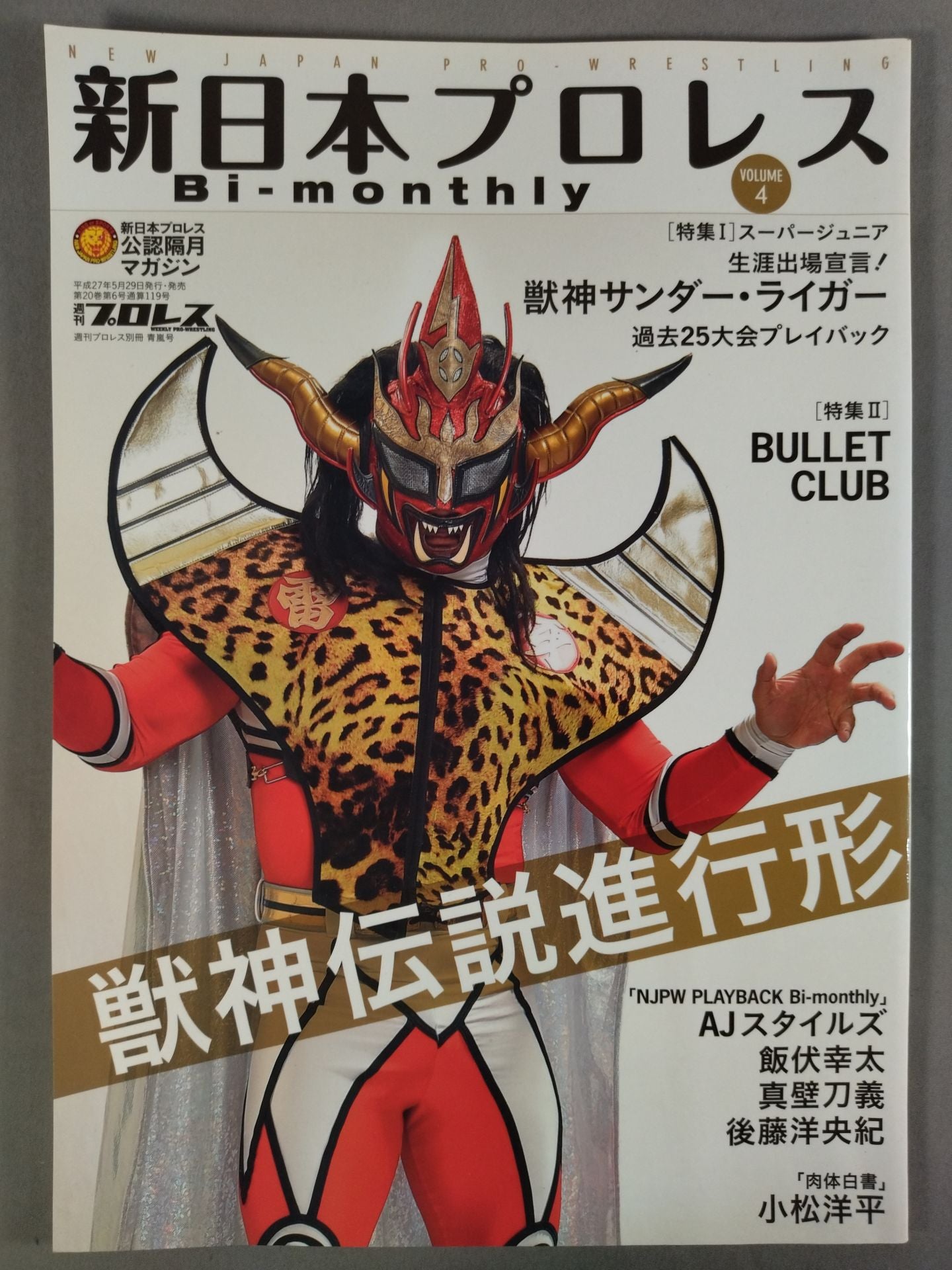 Weekly Pro Wrestling Appendix 119 New Japan Pro Wrestling Bi-monthly VOL.4