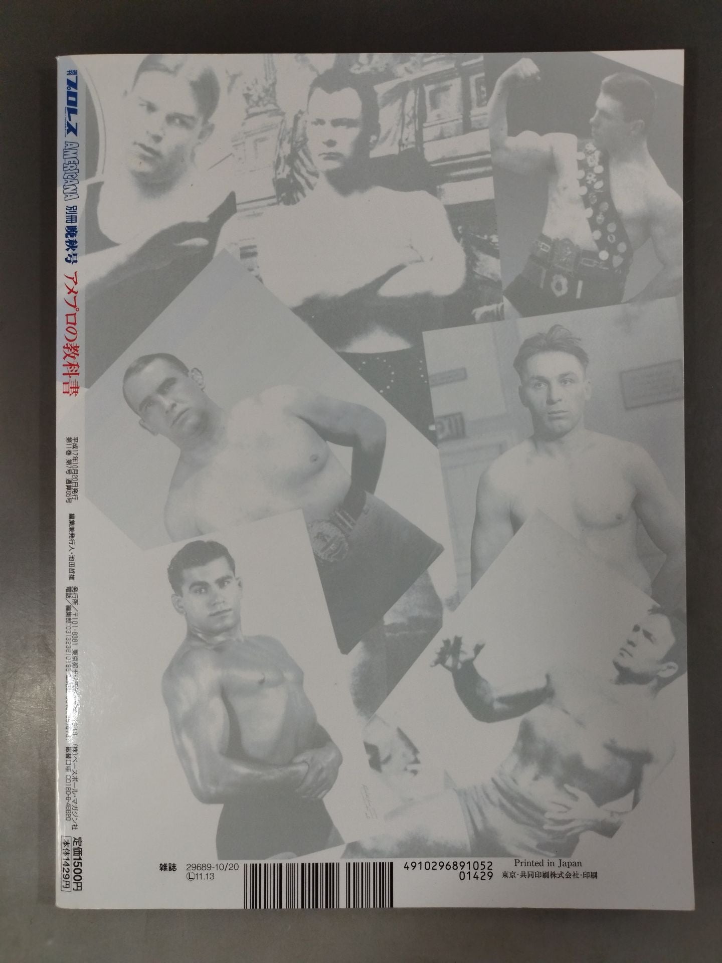 Weekly Pro Wrestling Appendix 65 "American Pro Textbook"