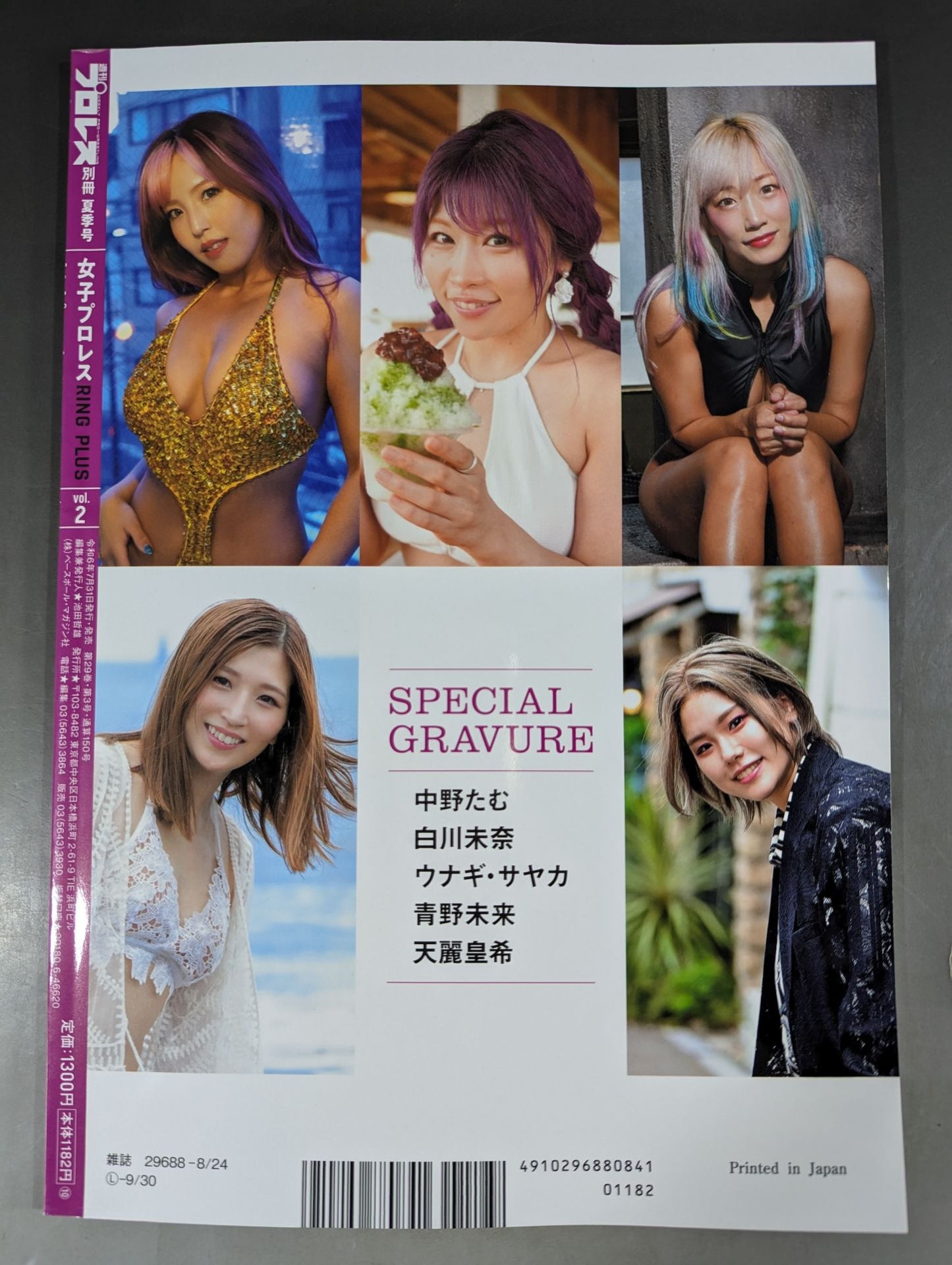 Weekly Pro Wrestling Appendix 150 "Women's Pro Wrestling RING PLUS" vol.2