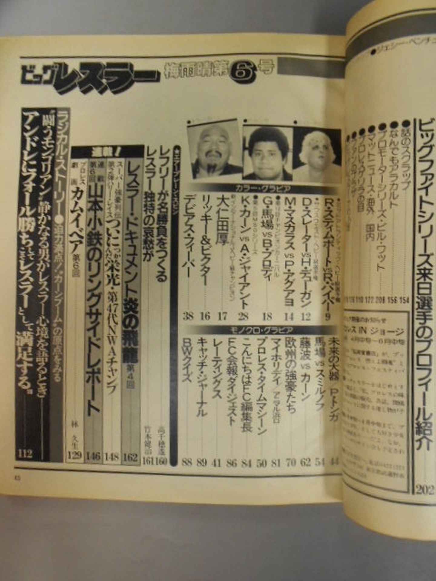 月刊ビッグレスラー 1982年06月号
