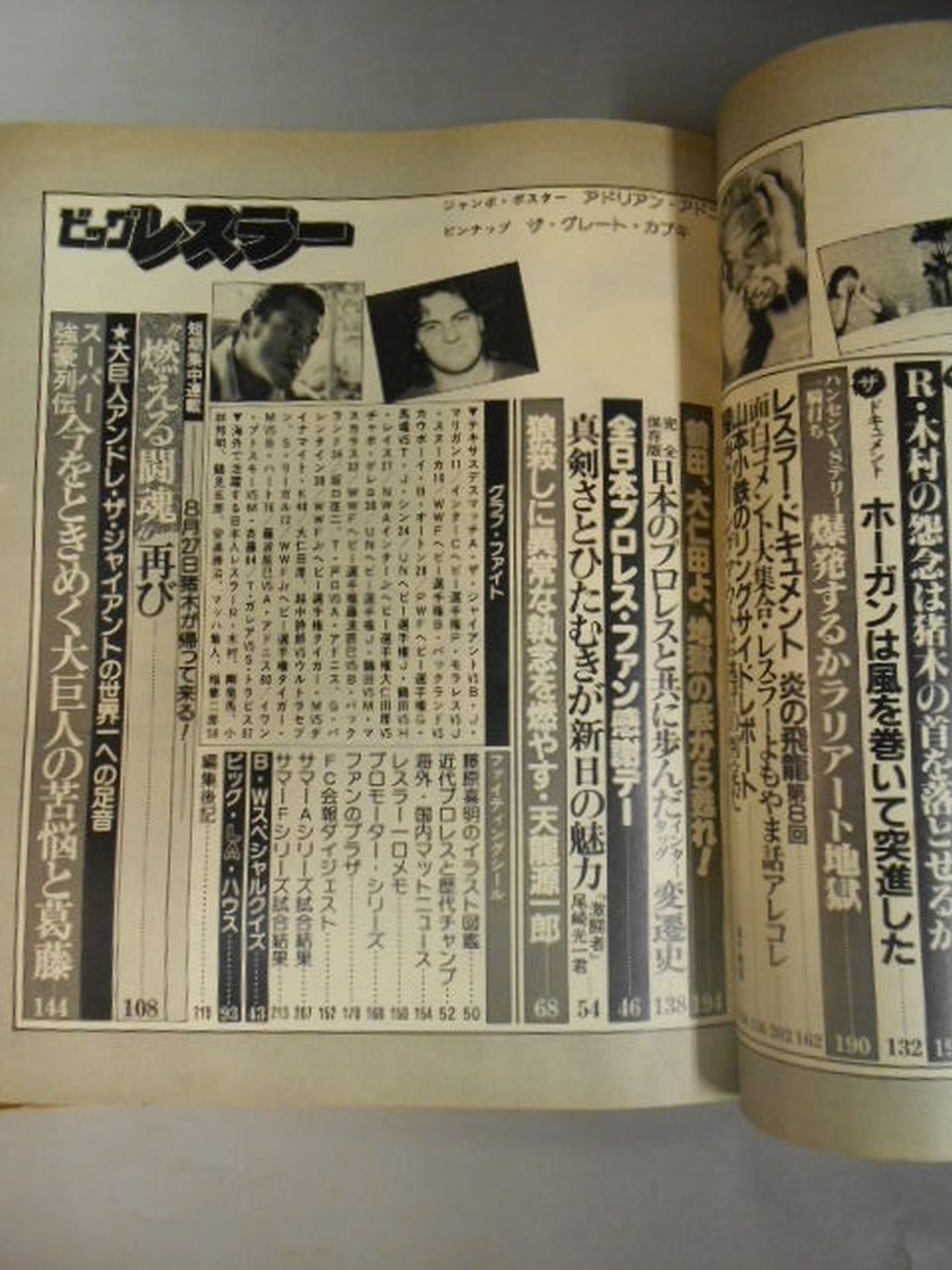 月刊ビッグレスラー 1982年10月号