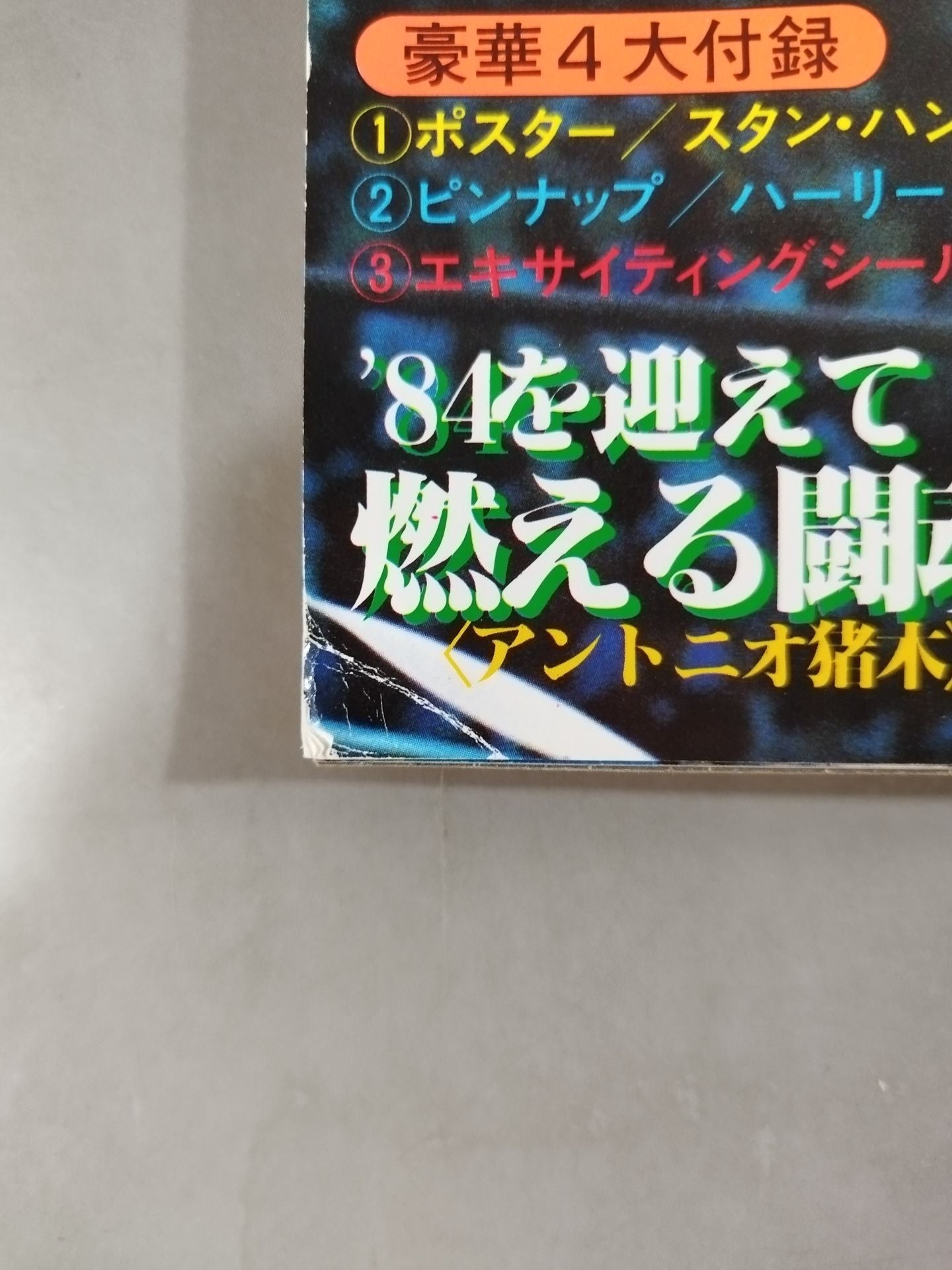 月刊ビッグレスラー 1984年1月号