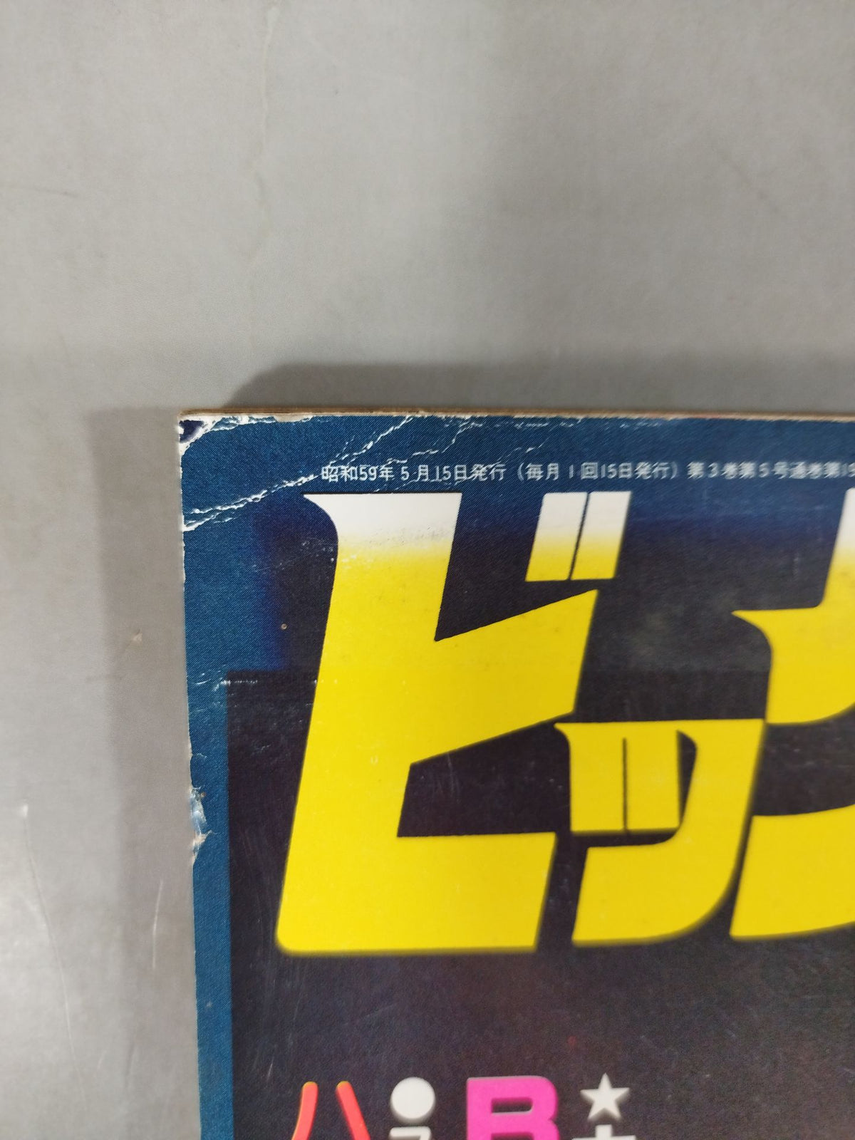 月刊ビッグレスラー 1984年5月号スペシャル