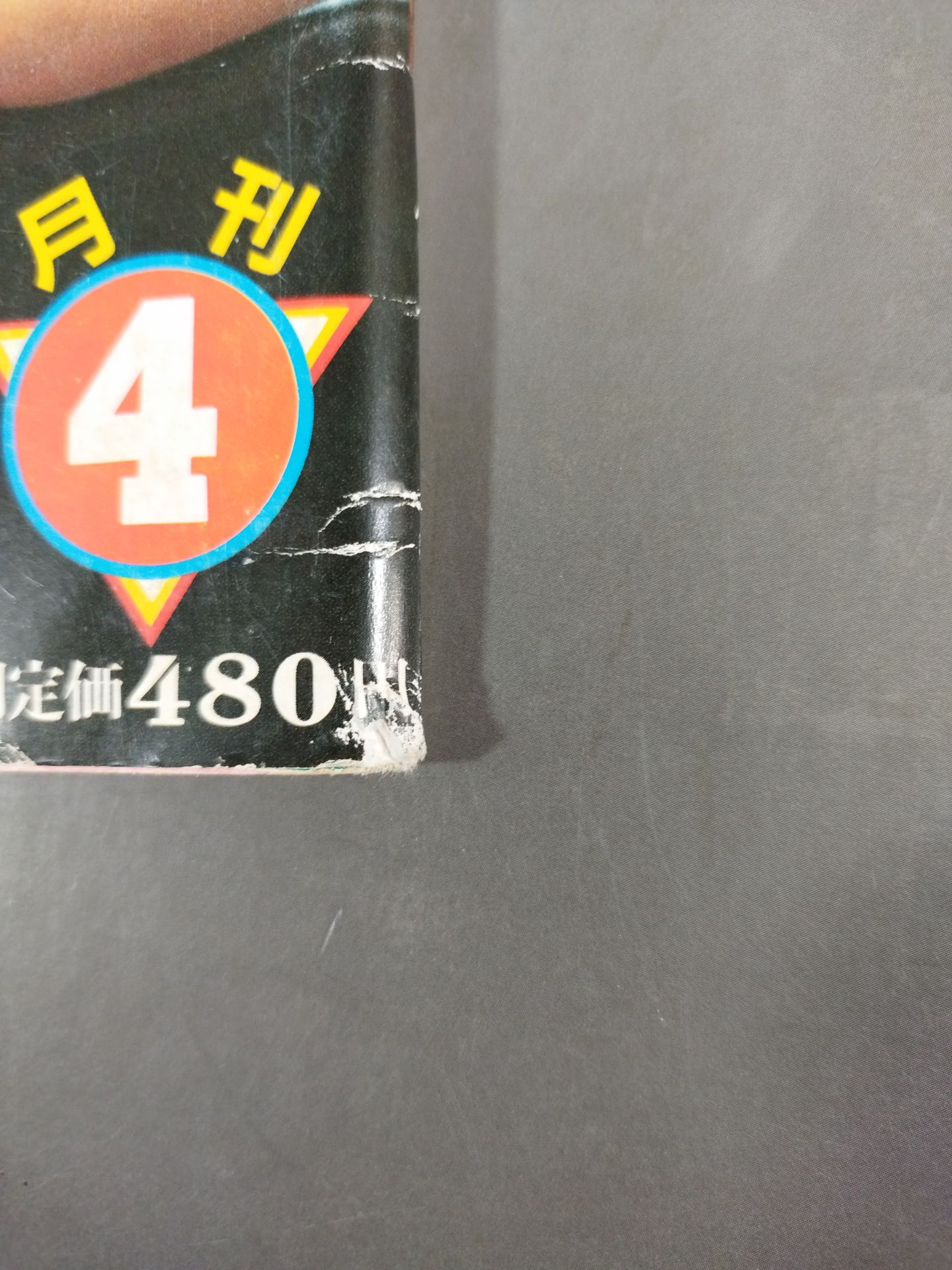 月刊ビッグレスラー 1984年4月号スペシャル