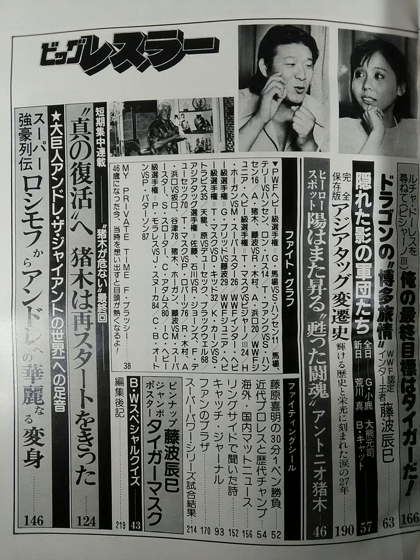 月刊ビッグレスラー 1982年11月号