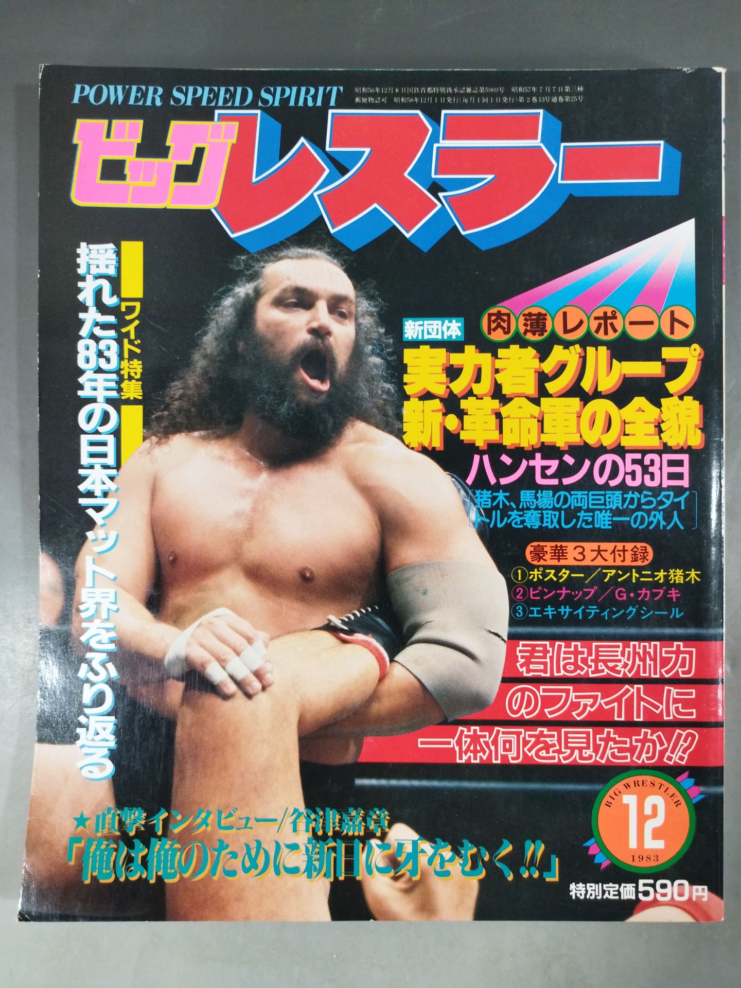月刊ビッグレスラー 1983年12月号
