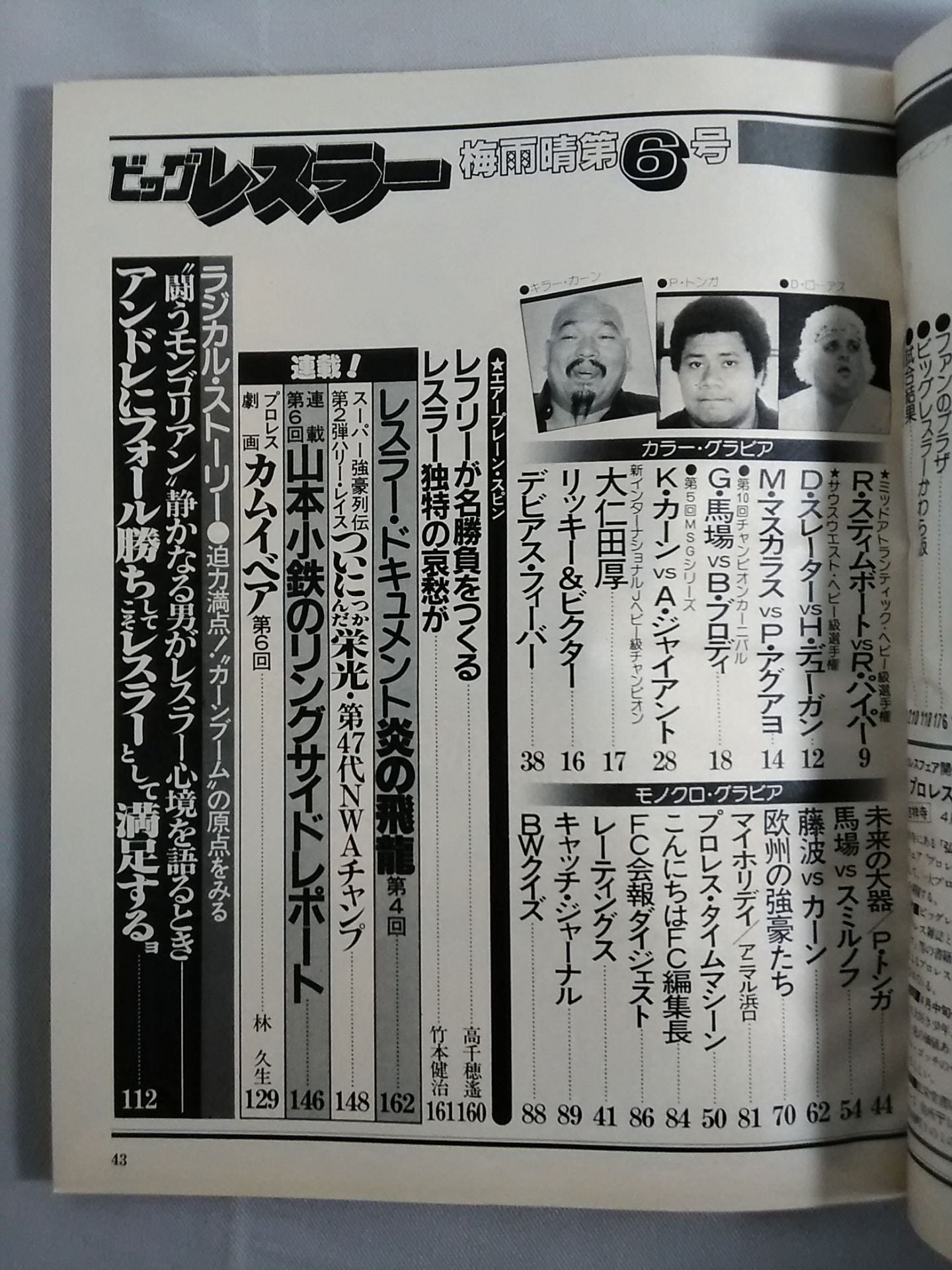 月刊ビッグレスラー 1982年6月号