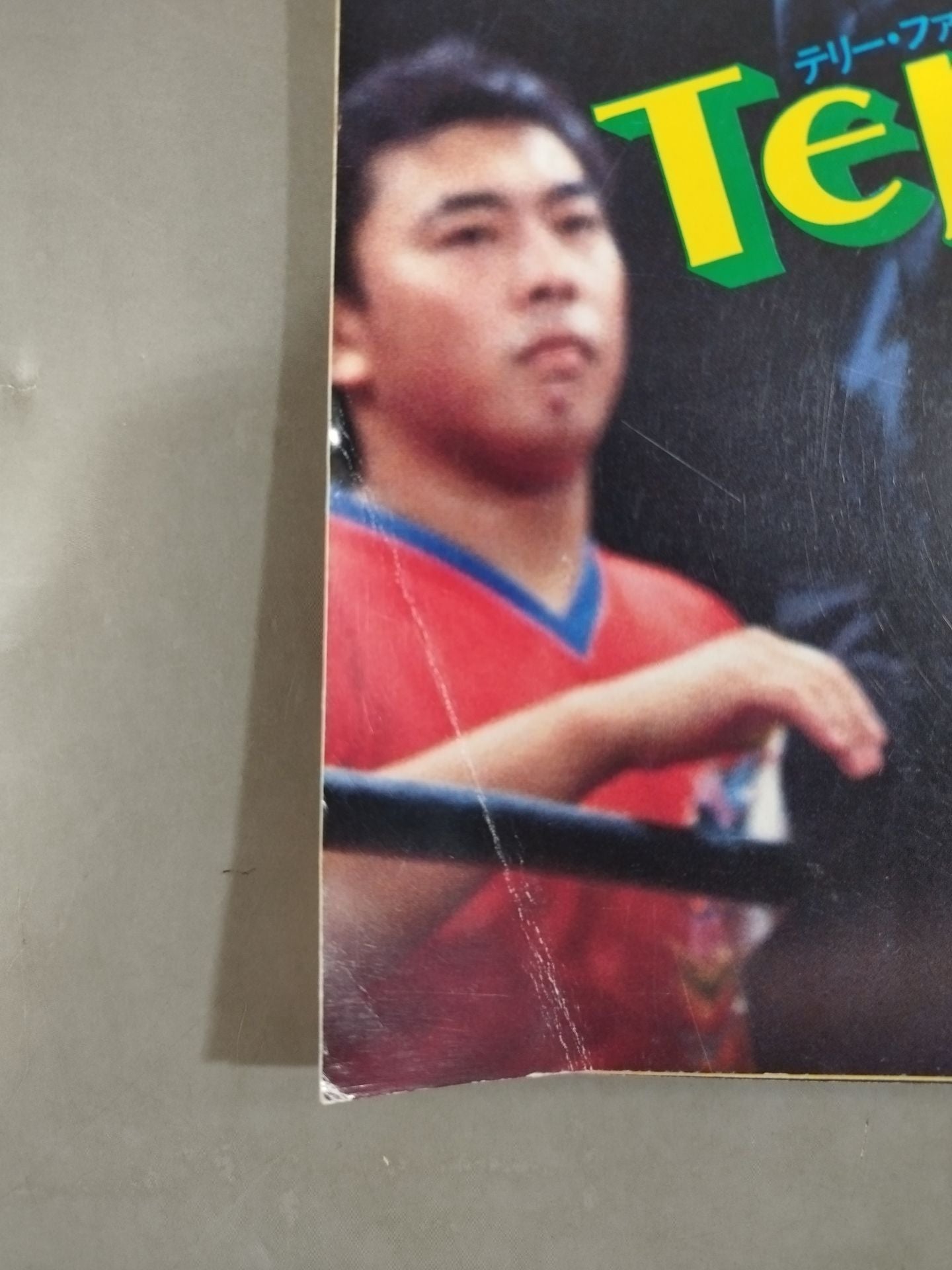 月刊ビッグレスラー 1983年9月号増刊