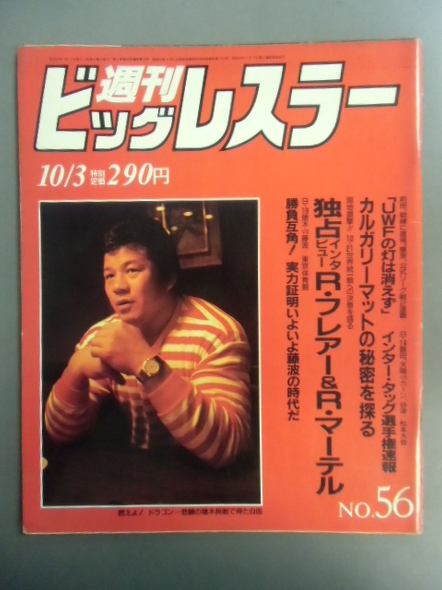 週刊ビッグレスラー56