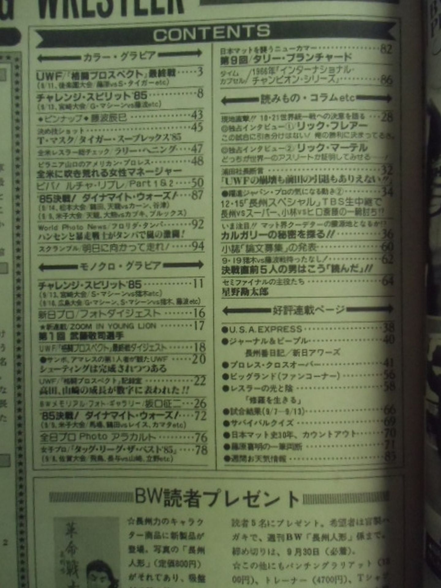週刊ビッグレスラー56