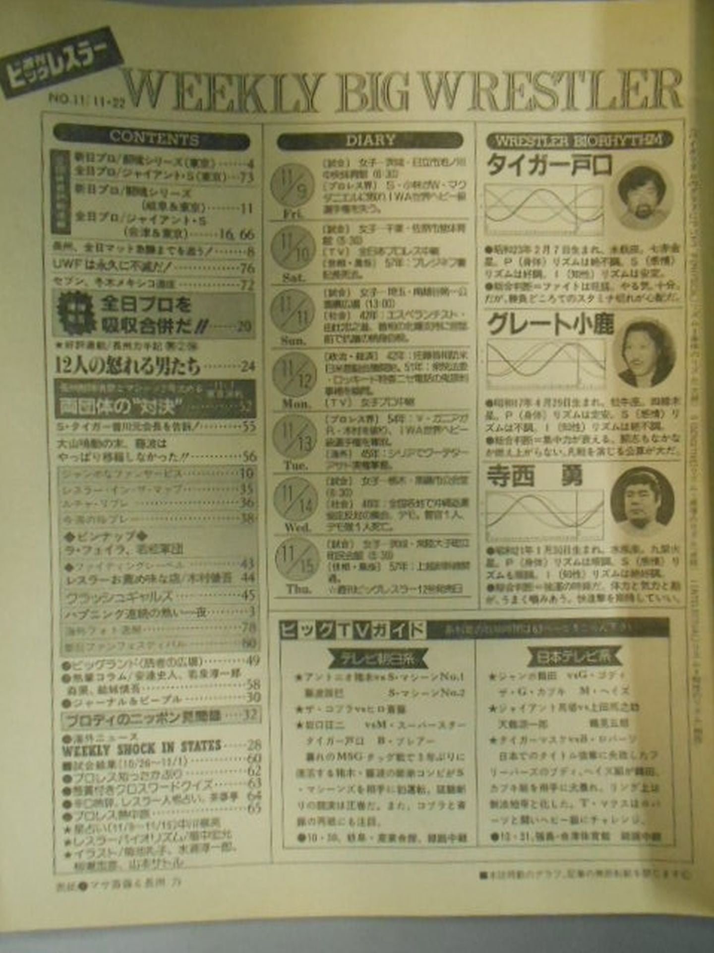 週刊ビッグレスラー11