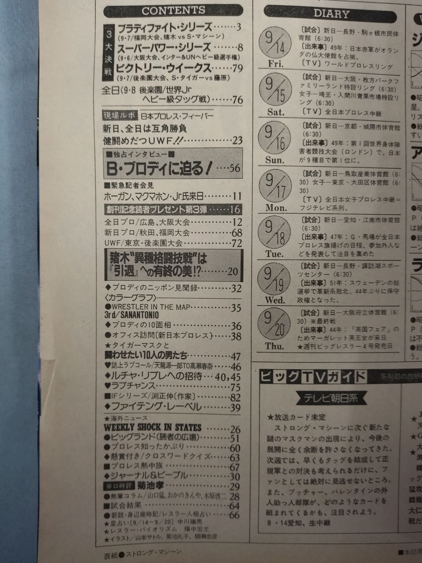 週刊ビッグレスラー3