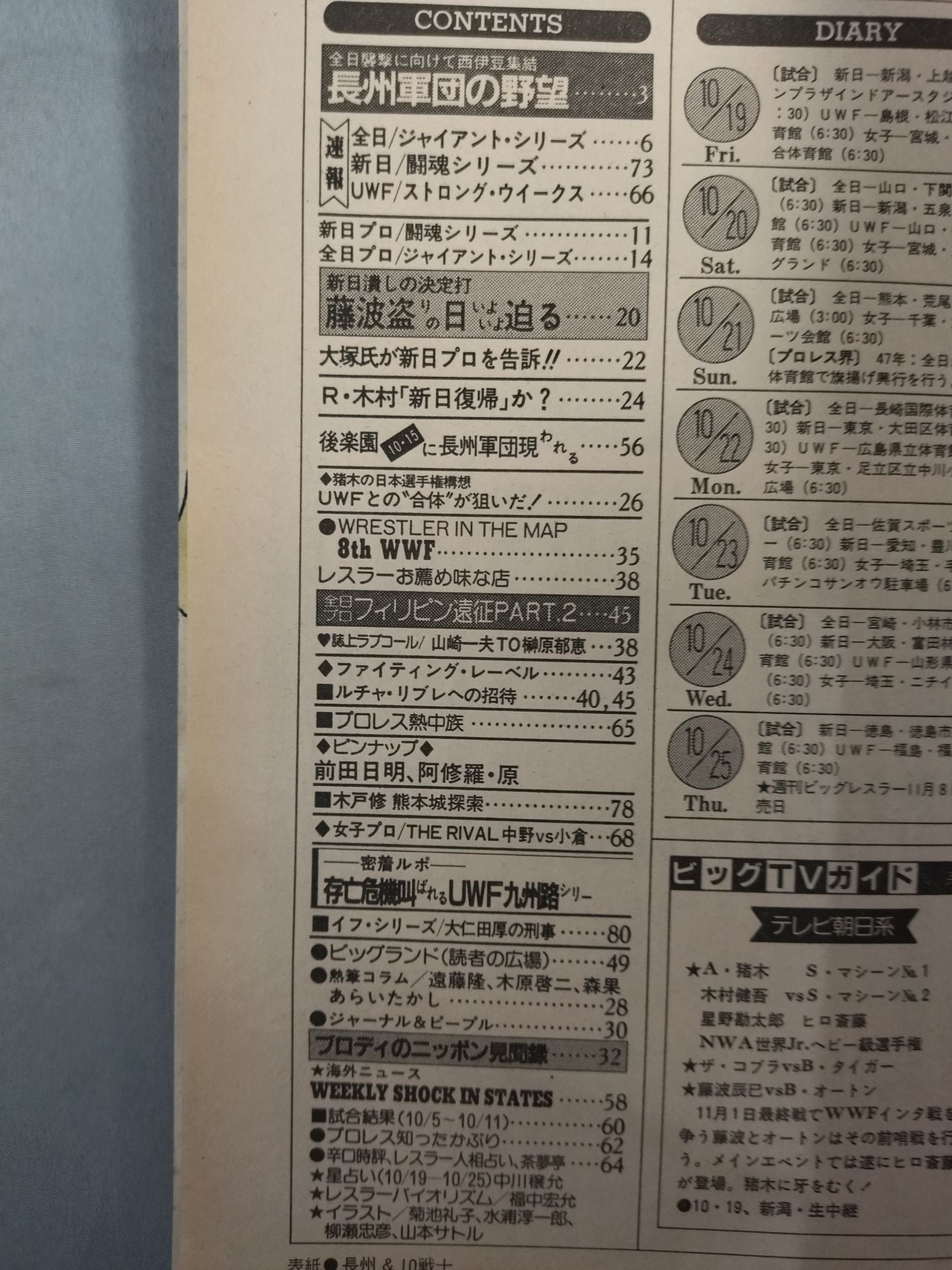 週刊ビッグレスラー8