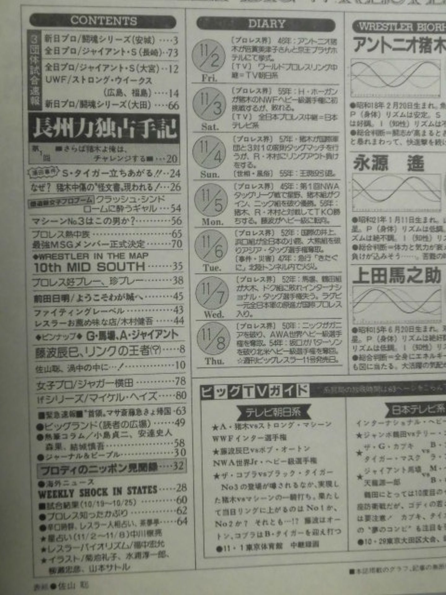 週刊ビッグレスラー10