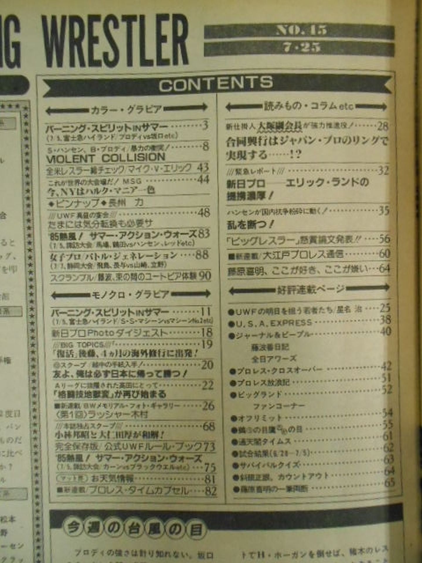 Weekly Big Wrestler45