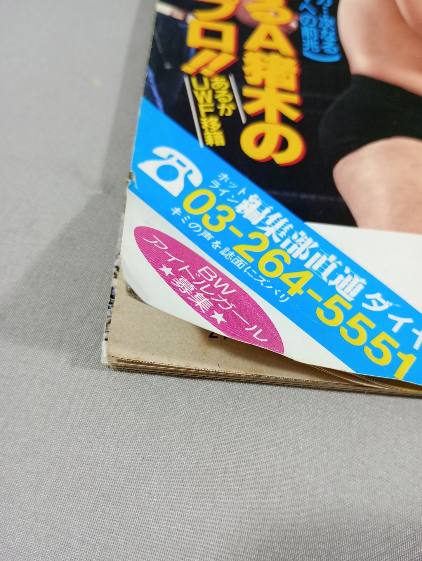 ★創刊号★ 週刊ビッグレスラー1