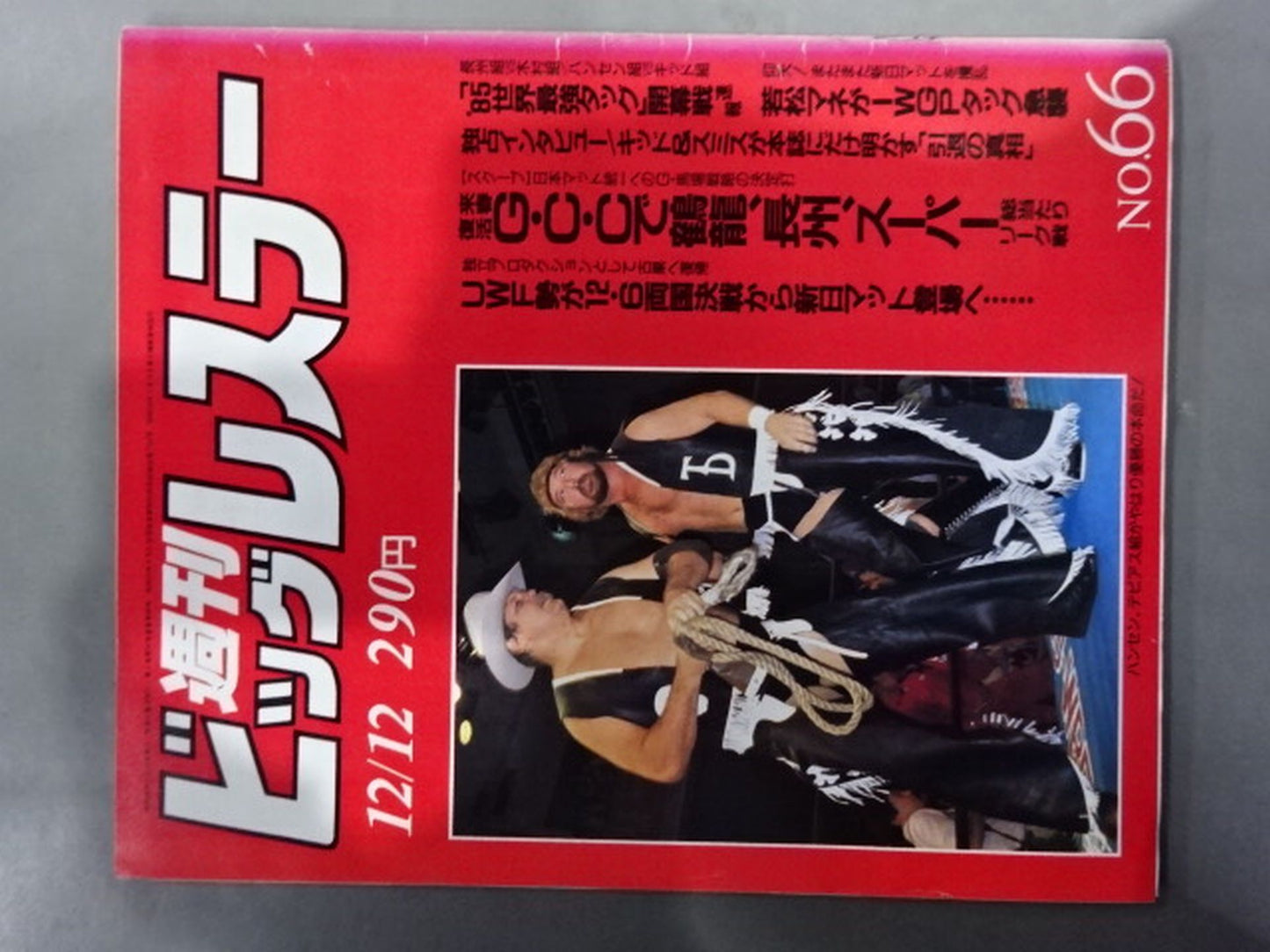週刊ビッグレスラー66