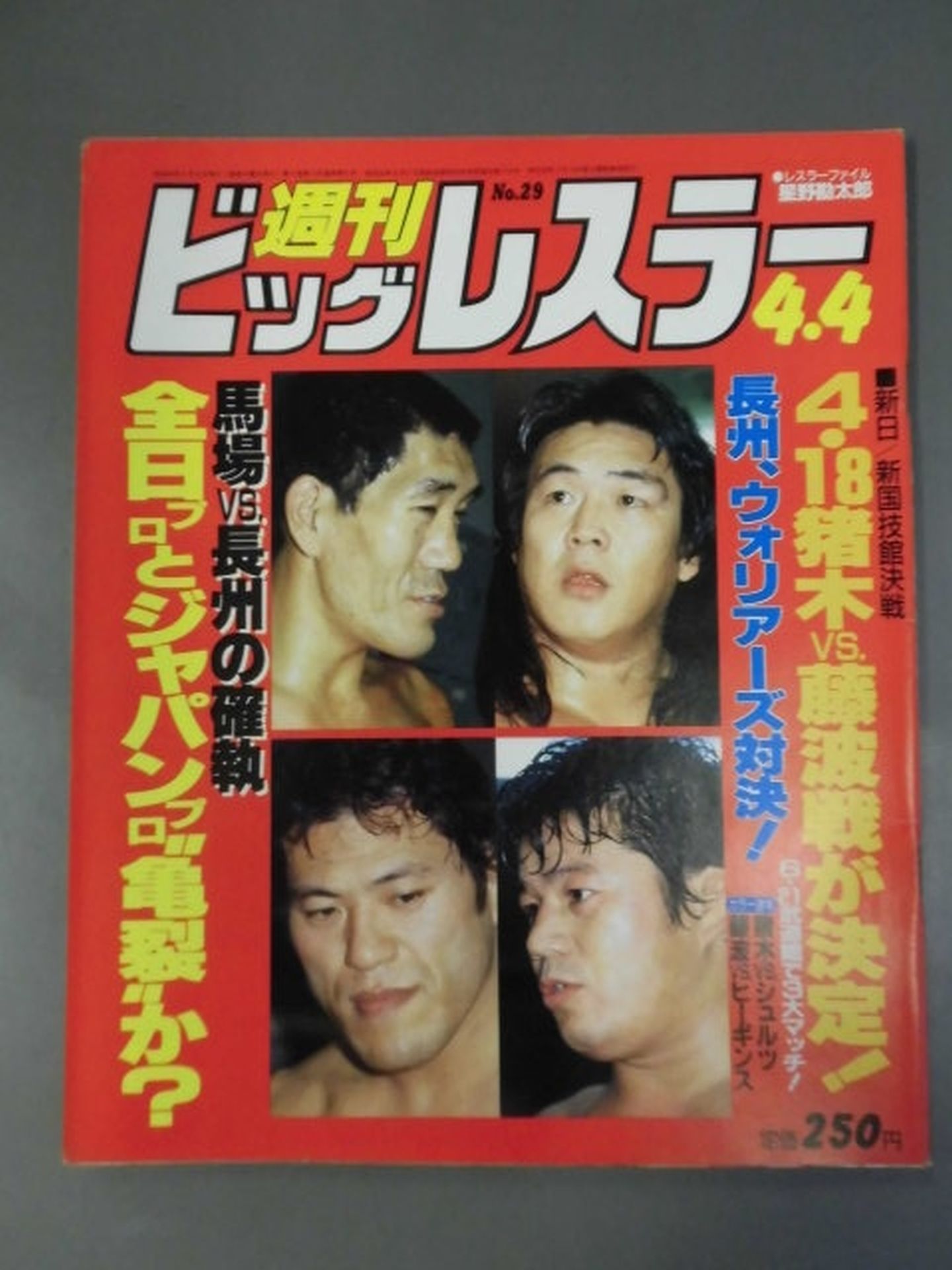 週刊ビッグレスラー29
