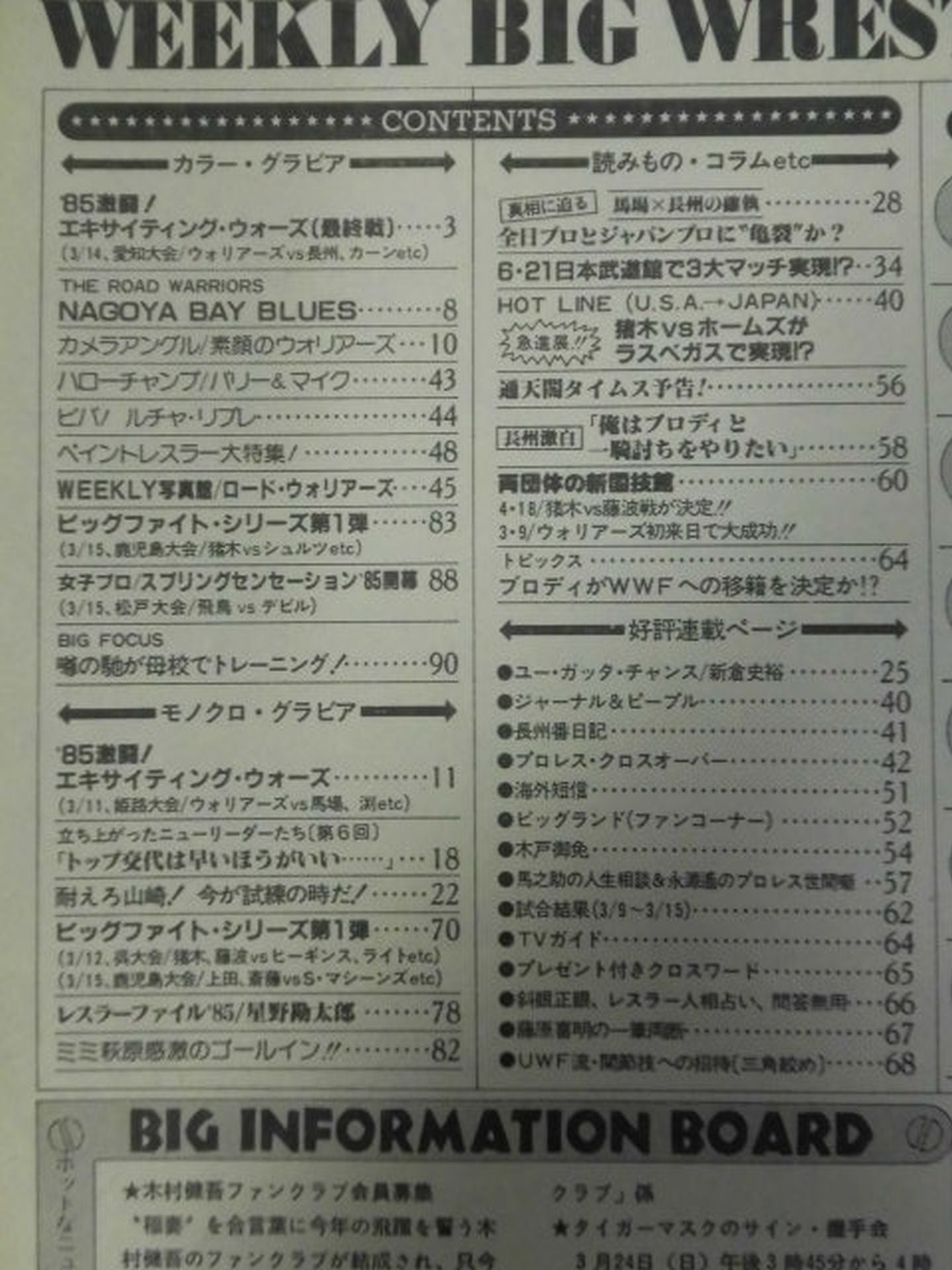 週刊ビッグレスラー29