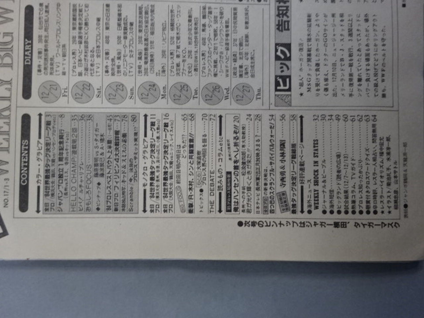 週刊ビッグレスラー17