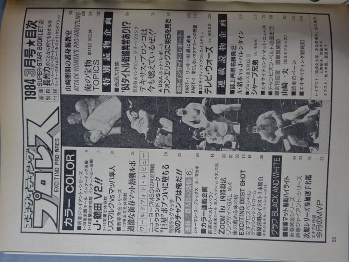 Exciting Pro Wrestling March 1984