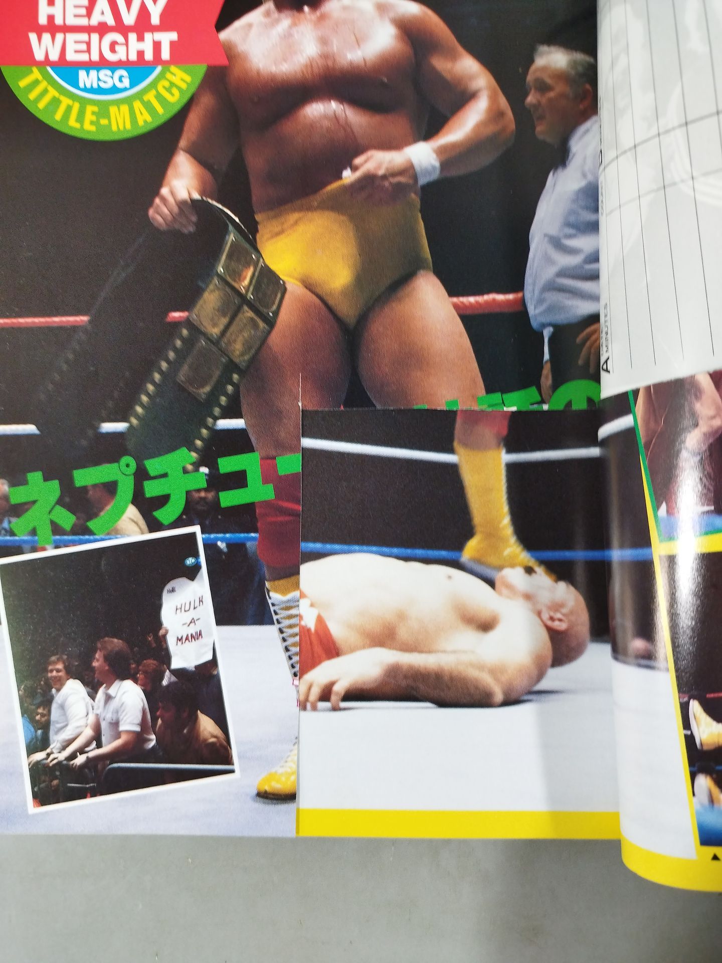 Separate volume Exciting Pro Wrestling March 1984 issue