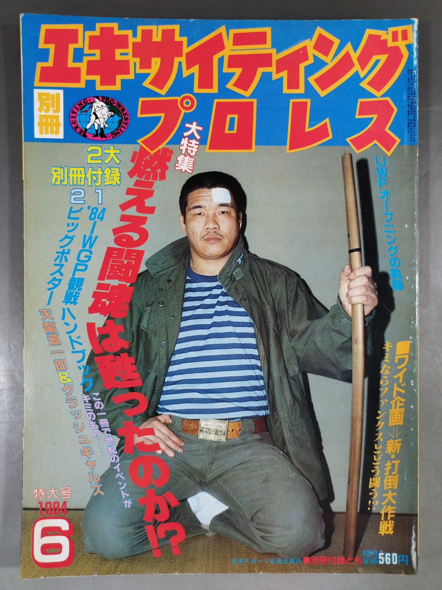 別冊エキサイティングプロレス 1984年6月号
