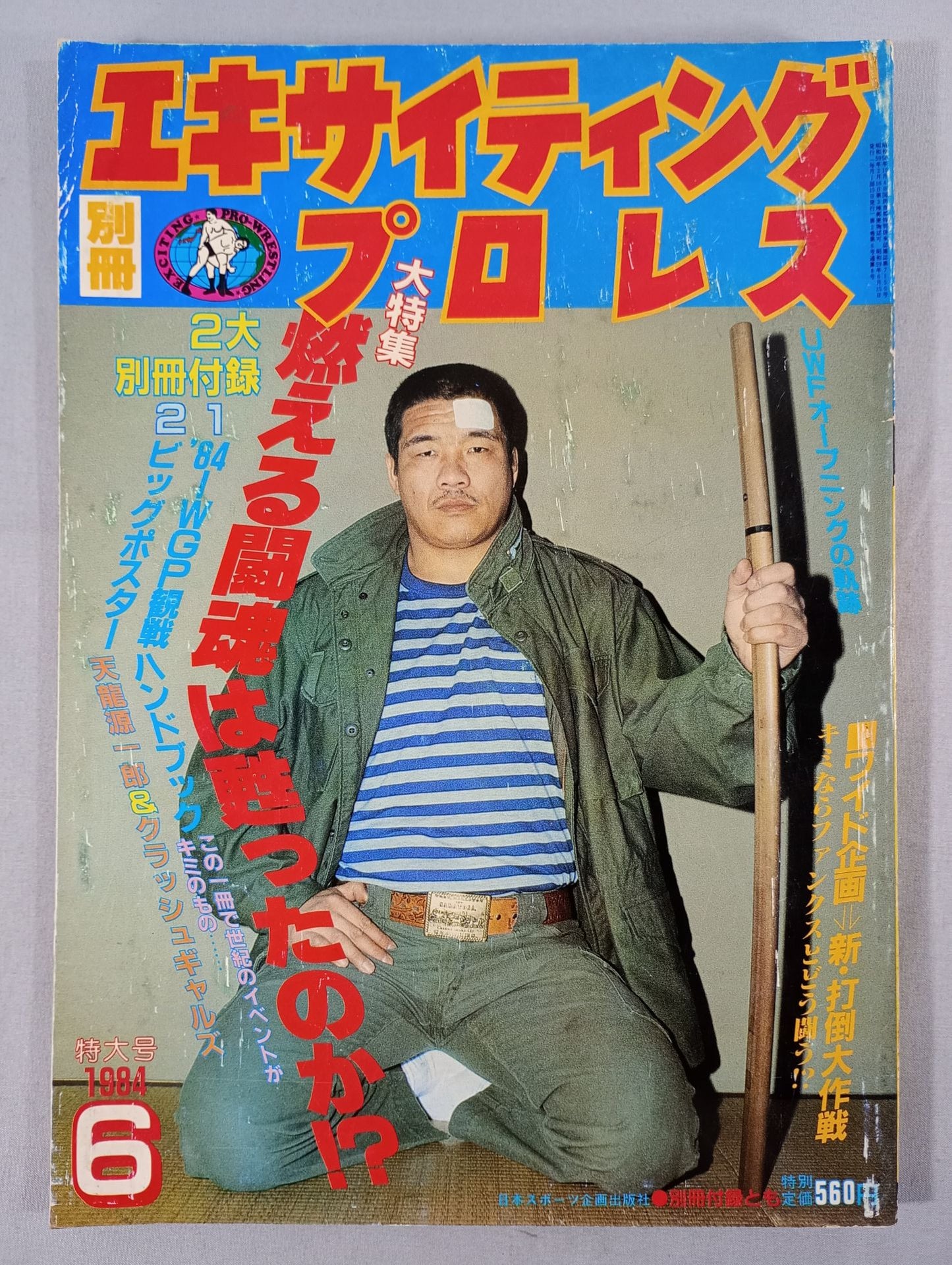 Separate volume Exciting Pro Wrestling June 1984 issue