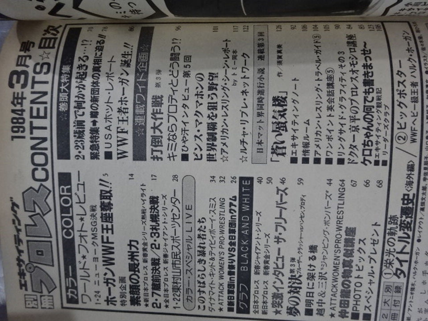 別冊エキサイティングプロレス 1984年3月号
