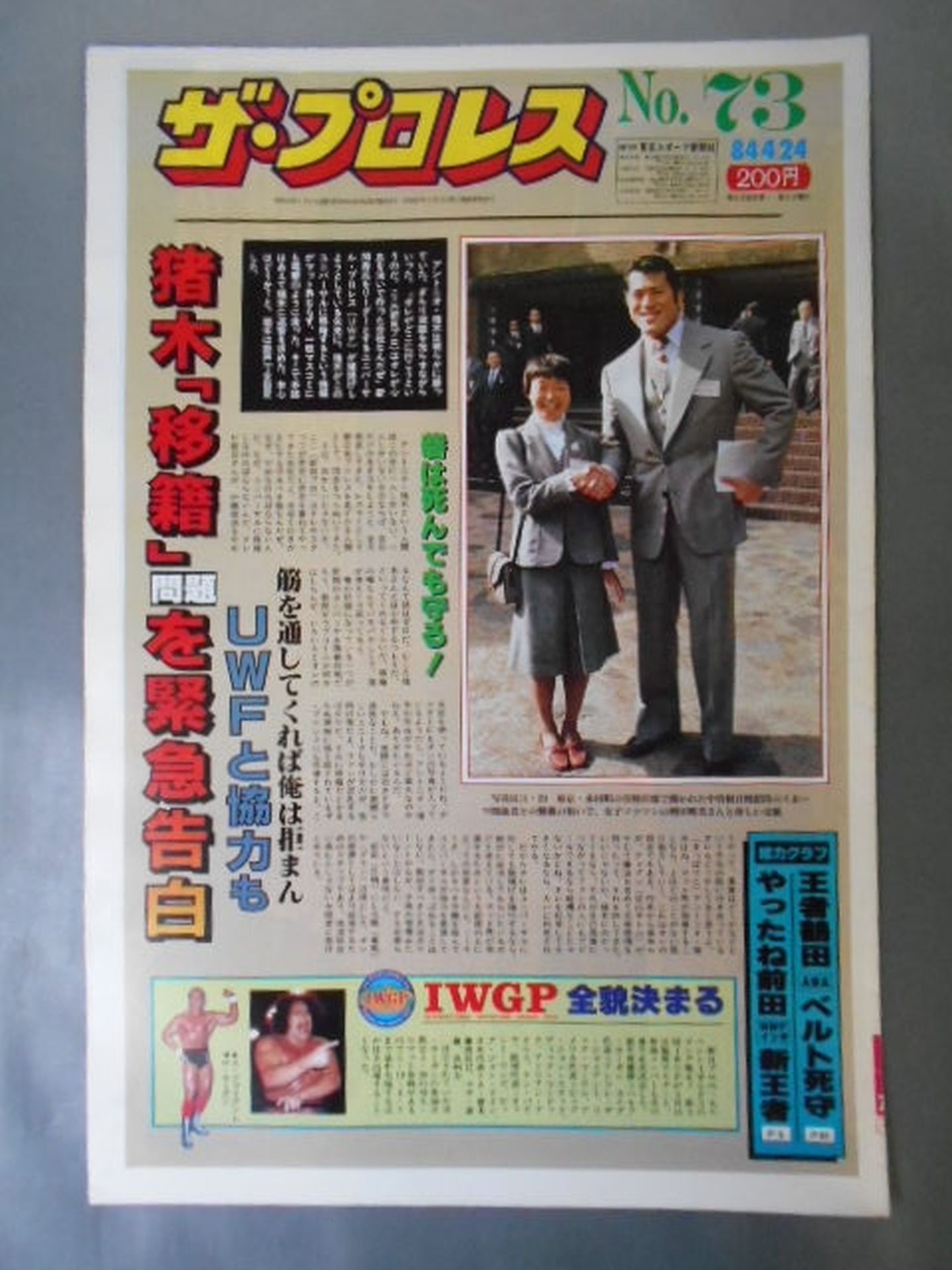 The Pro Wrestling 73