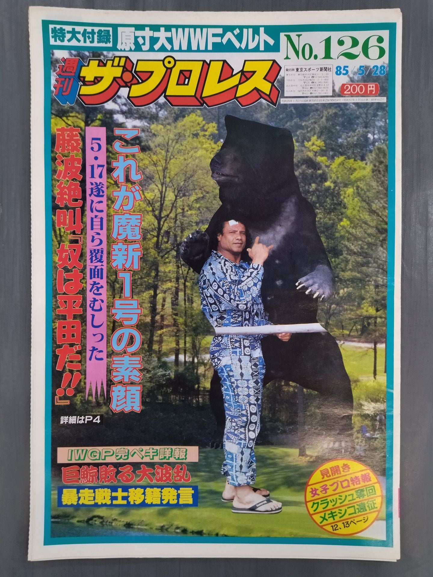 Weekly The Pro Wrestling 126