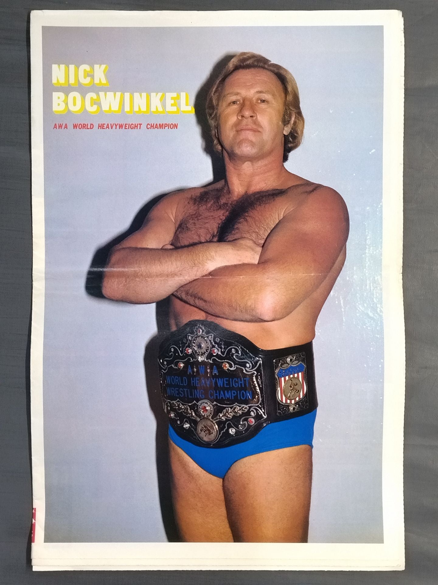 The Pro Wrestling 7