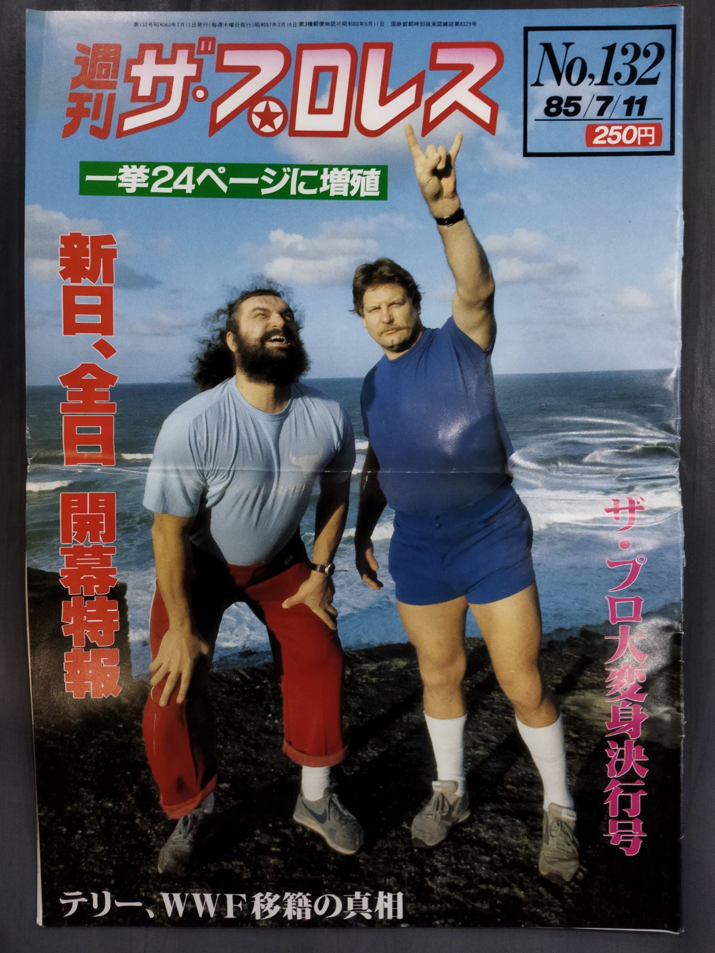 週刊ザ・プロレス132