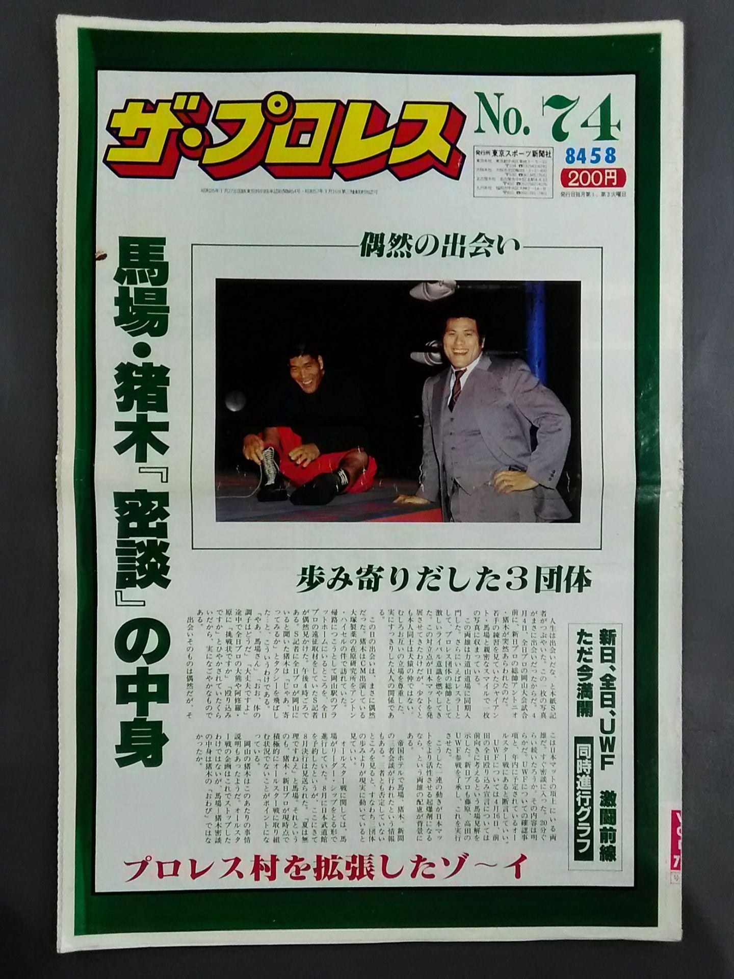 Pro Wrestling 74