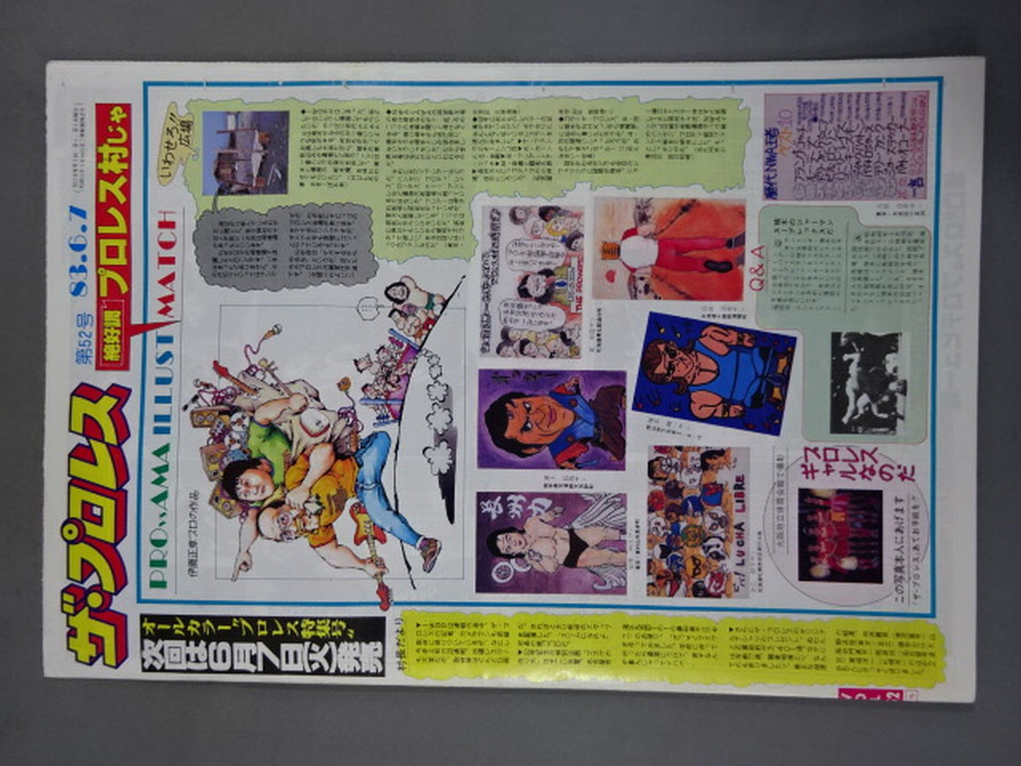 The Pro Wrestling 52