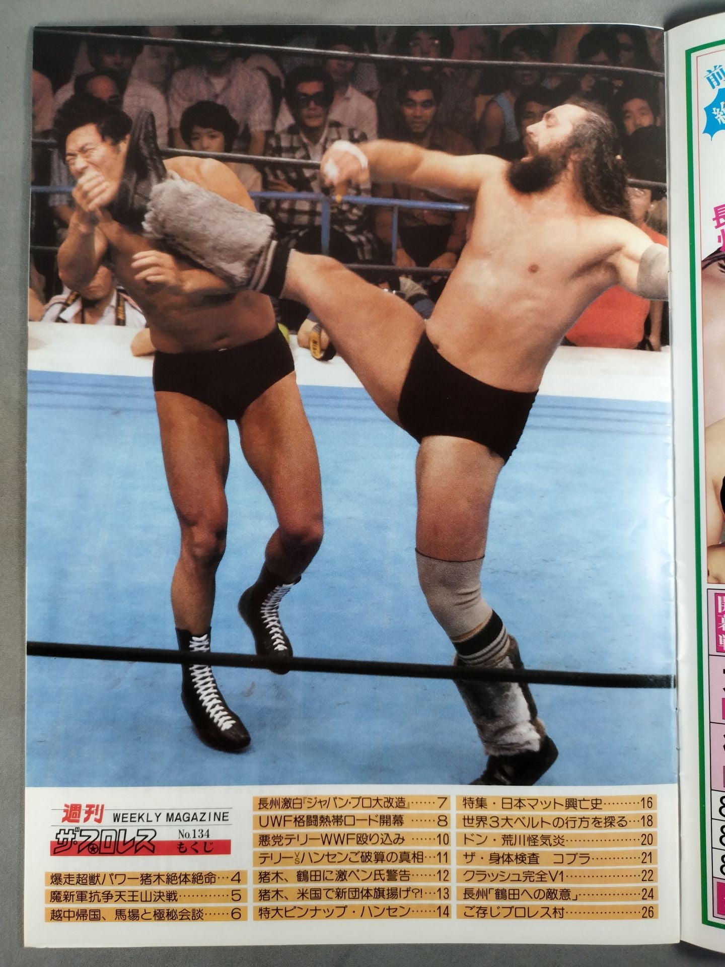 Weekly The Pro Wrestling 134