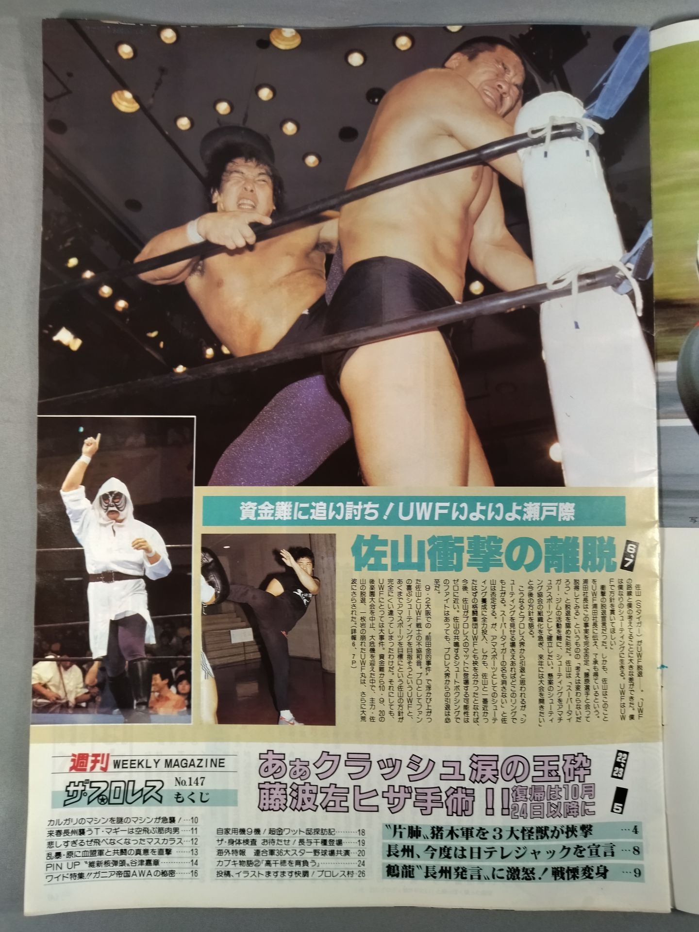 Weekly The Pro Wrestling 147
