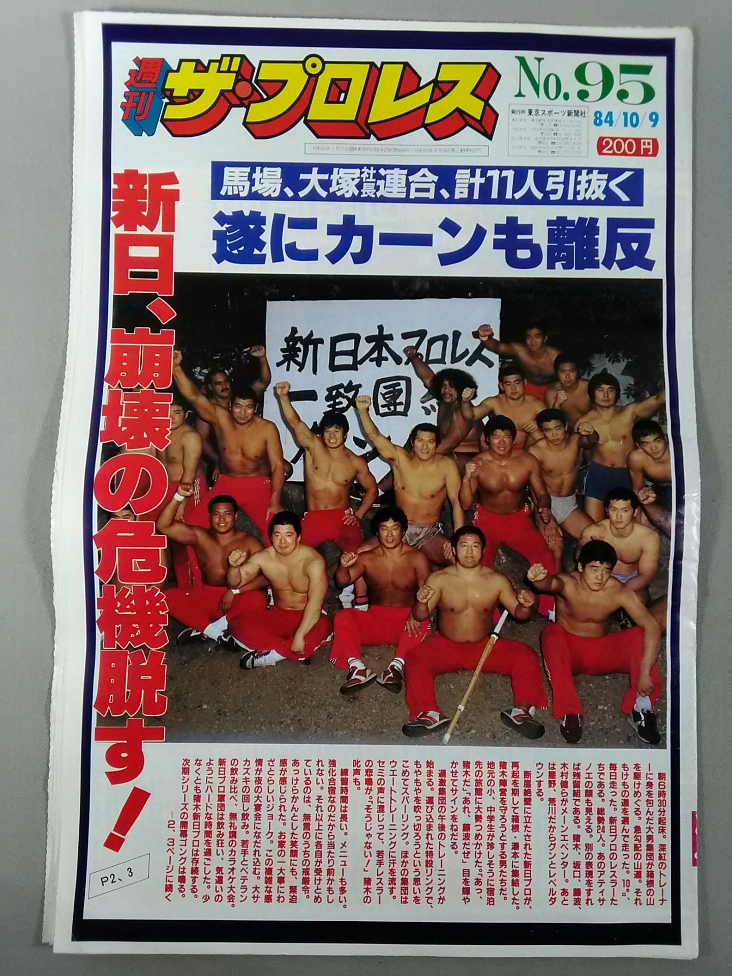 週刊ザ・プロレス95