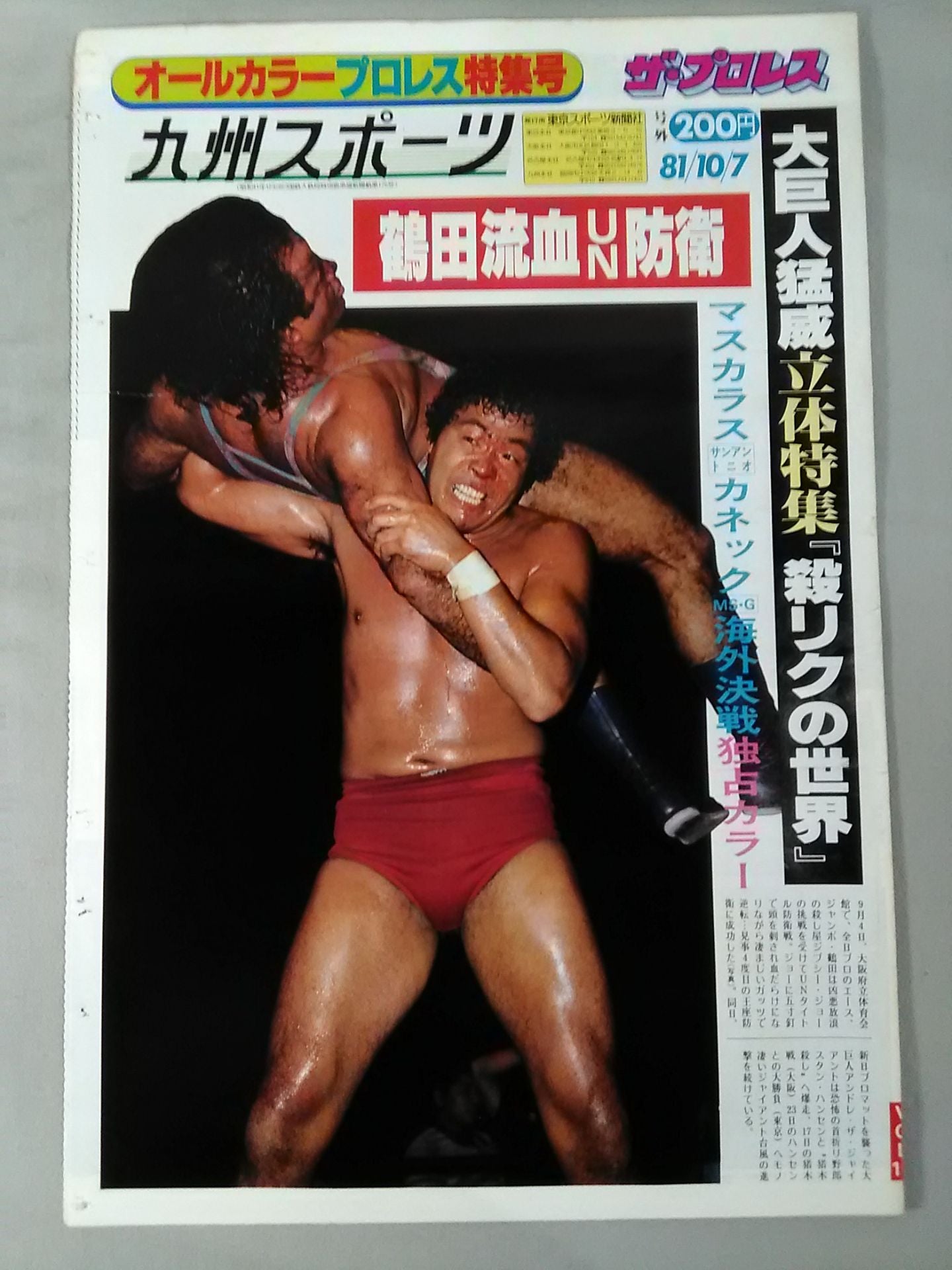 The Pro Wrestling 12