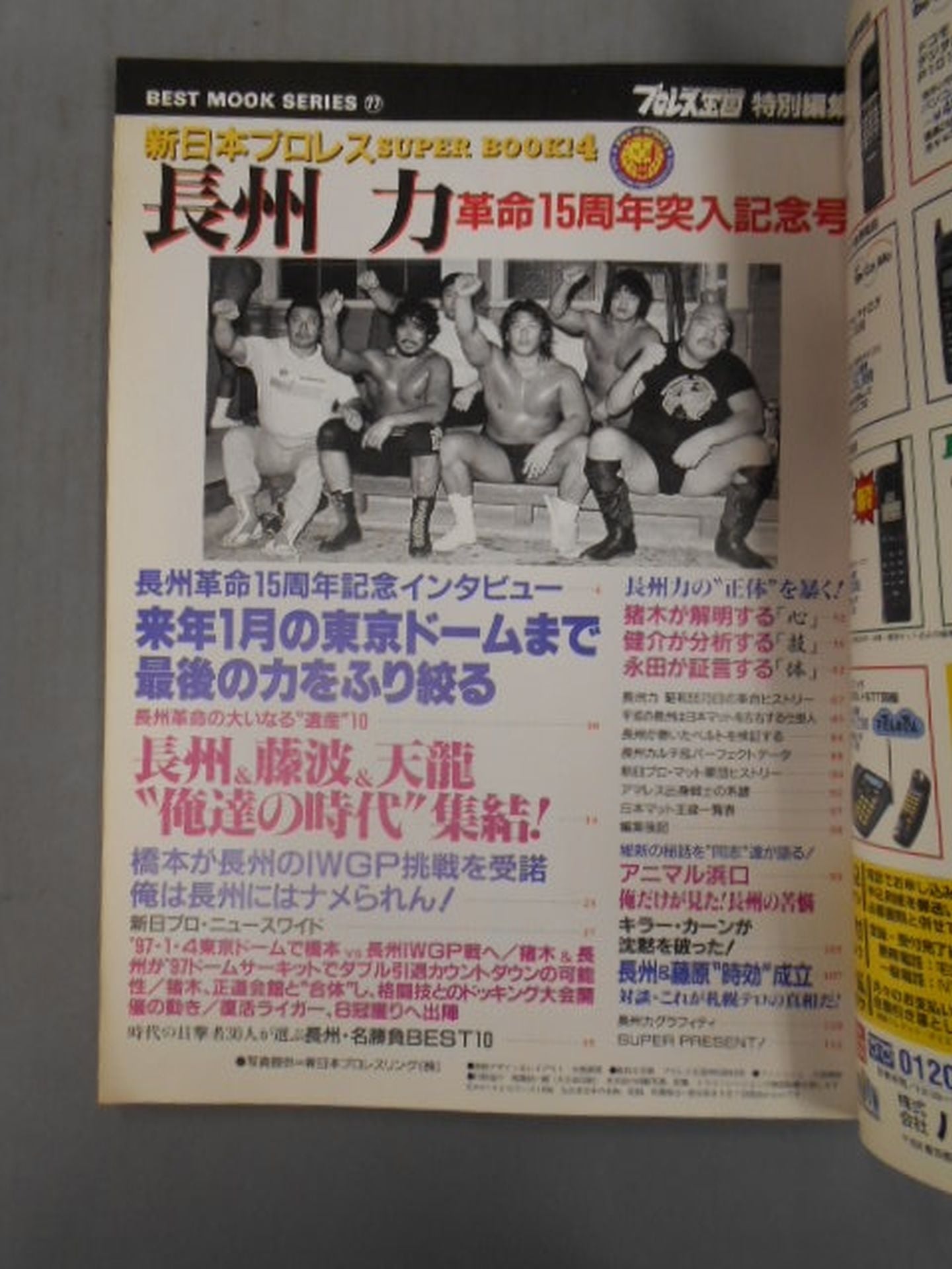 New Japan Pro Wrestling SUPER BOOK!4