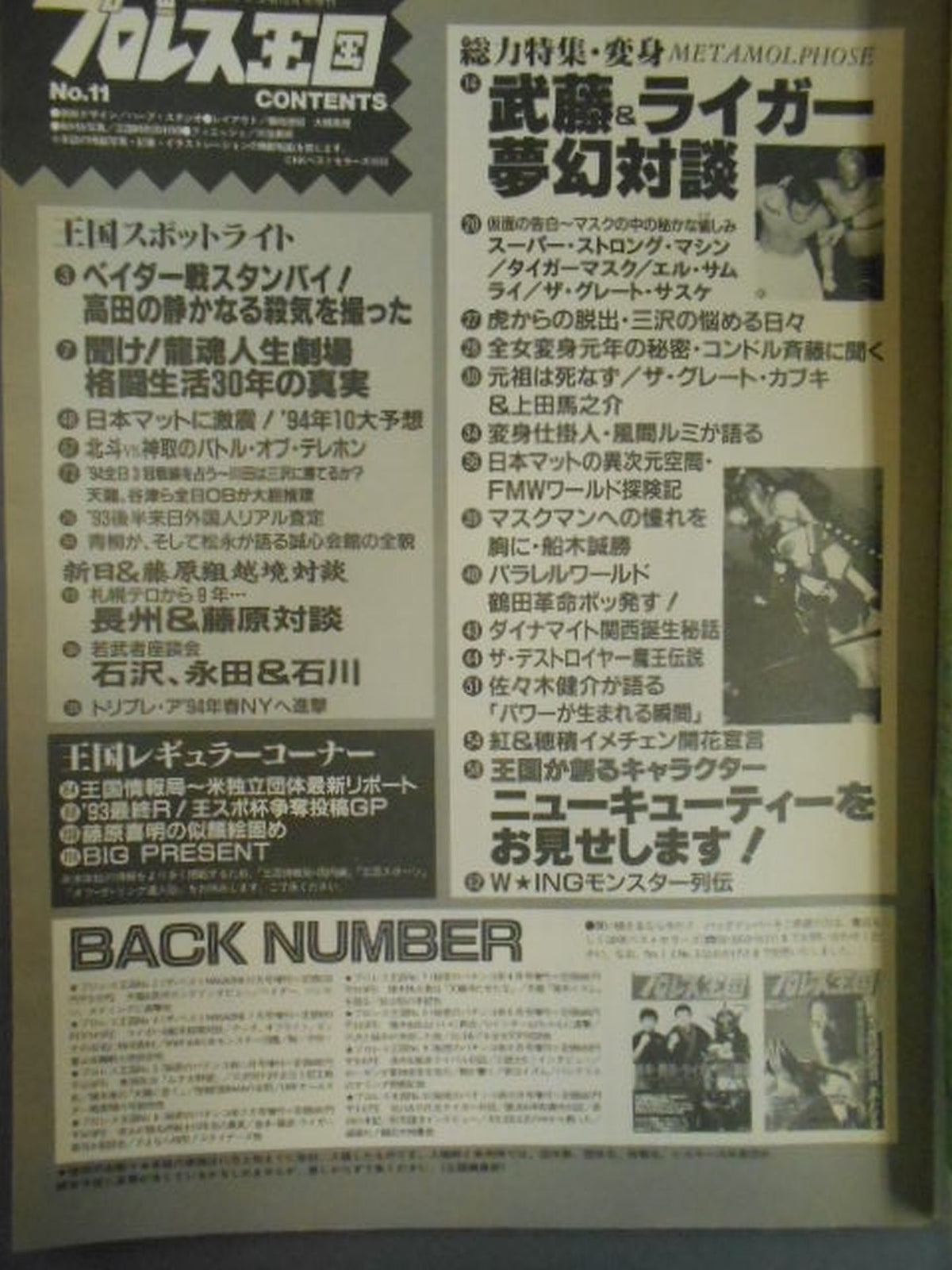 Pro Wrestling Kingdom 11