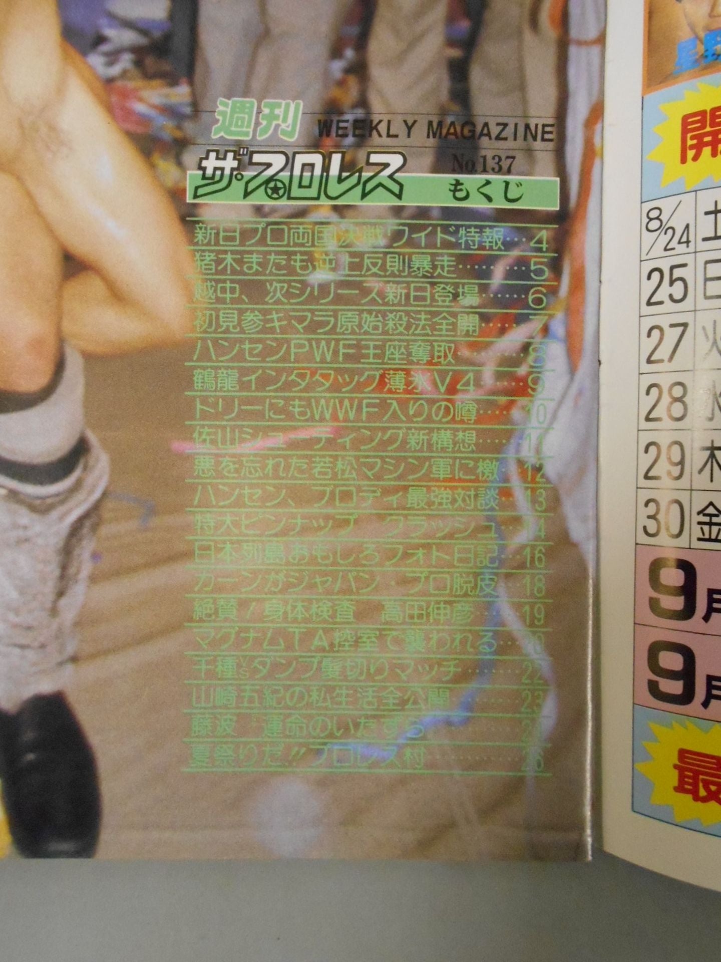 Weekly The Pro Wrestling 137