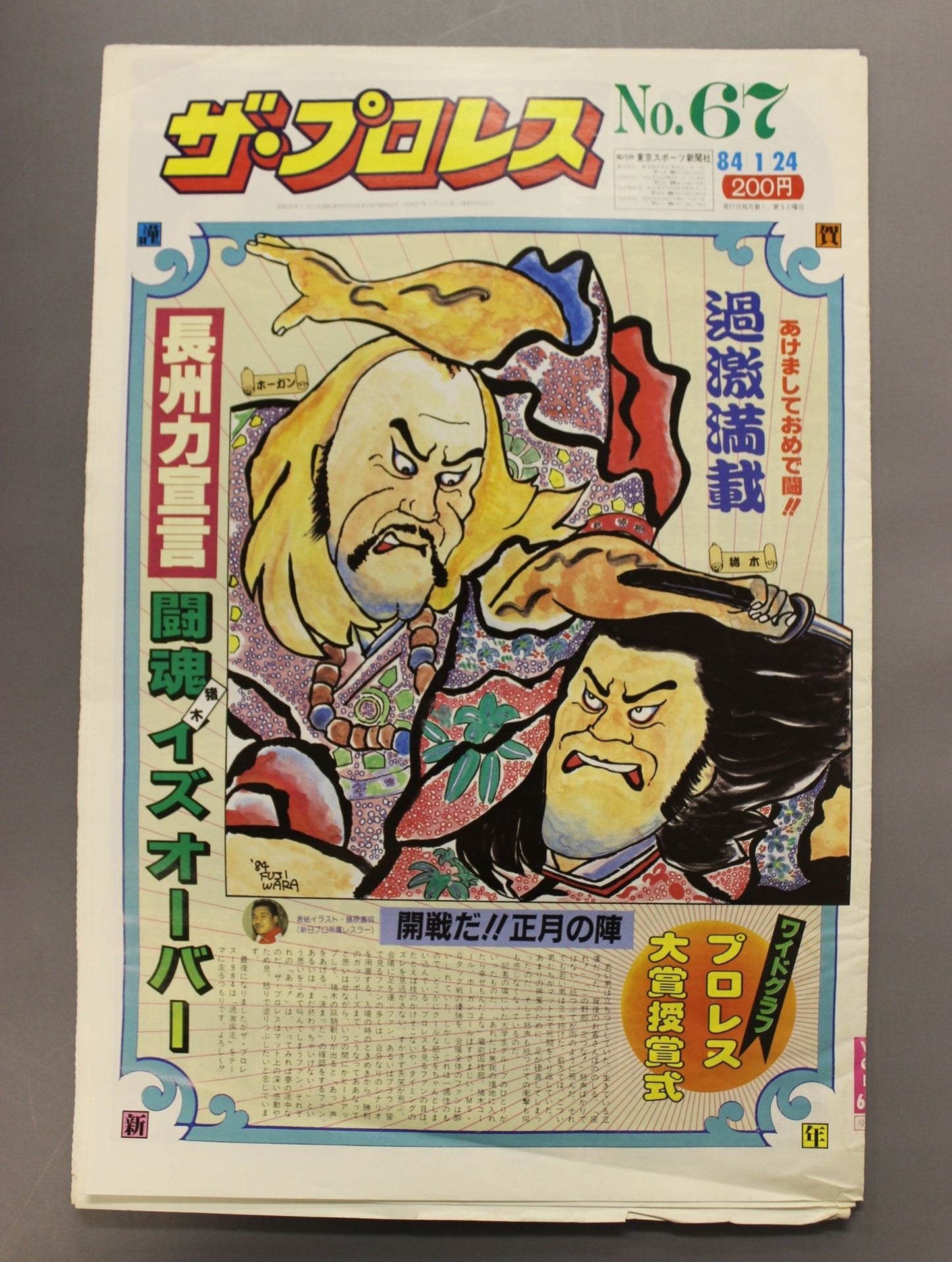 The Pro Wrestling 67