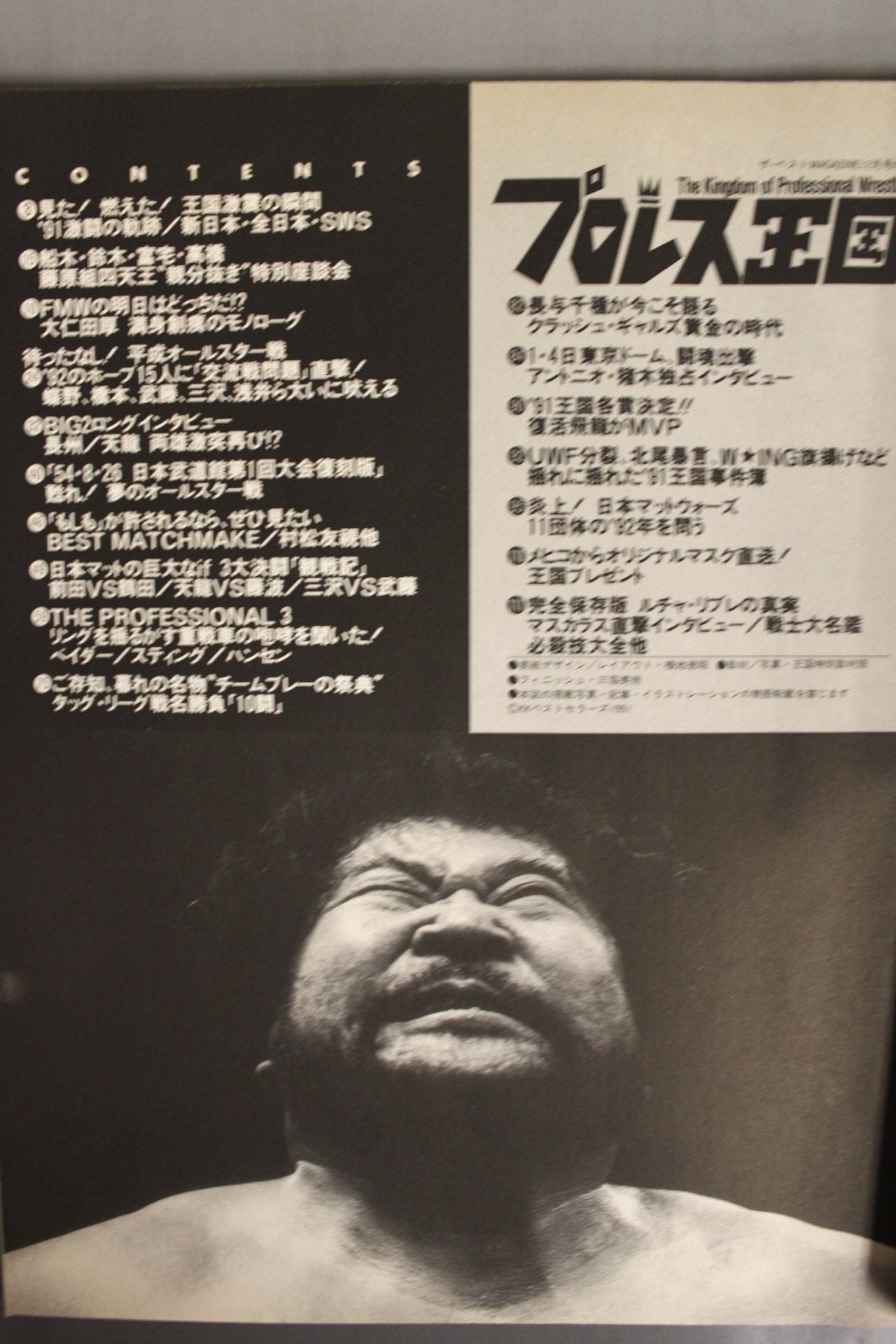 Pro Wrestling Kingdom 2