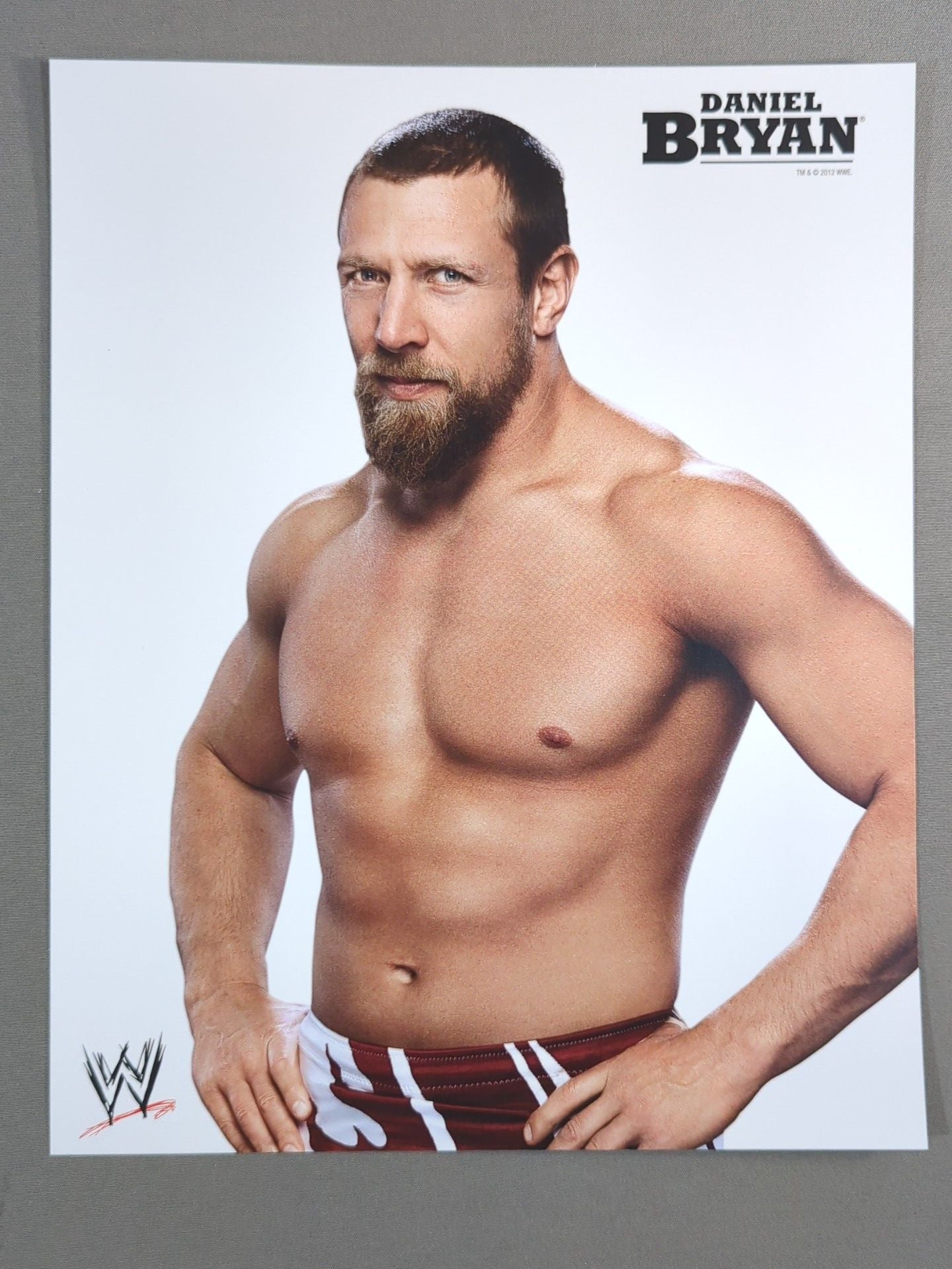 ダニエル・ブライアン ポートレート(A)